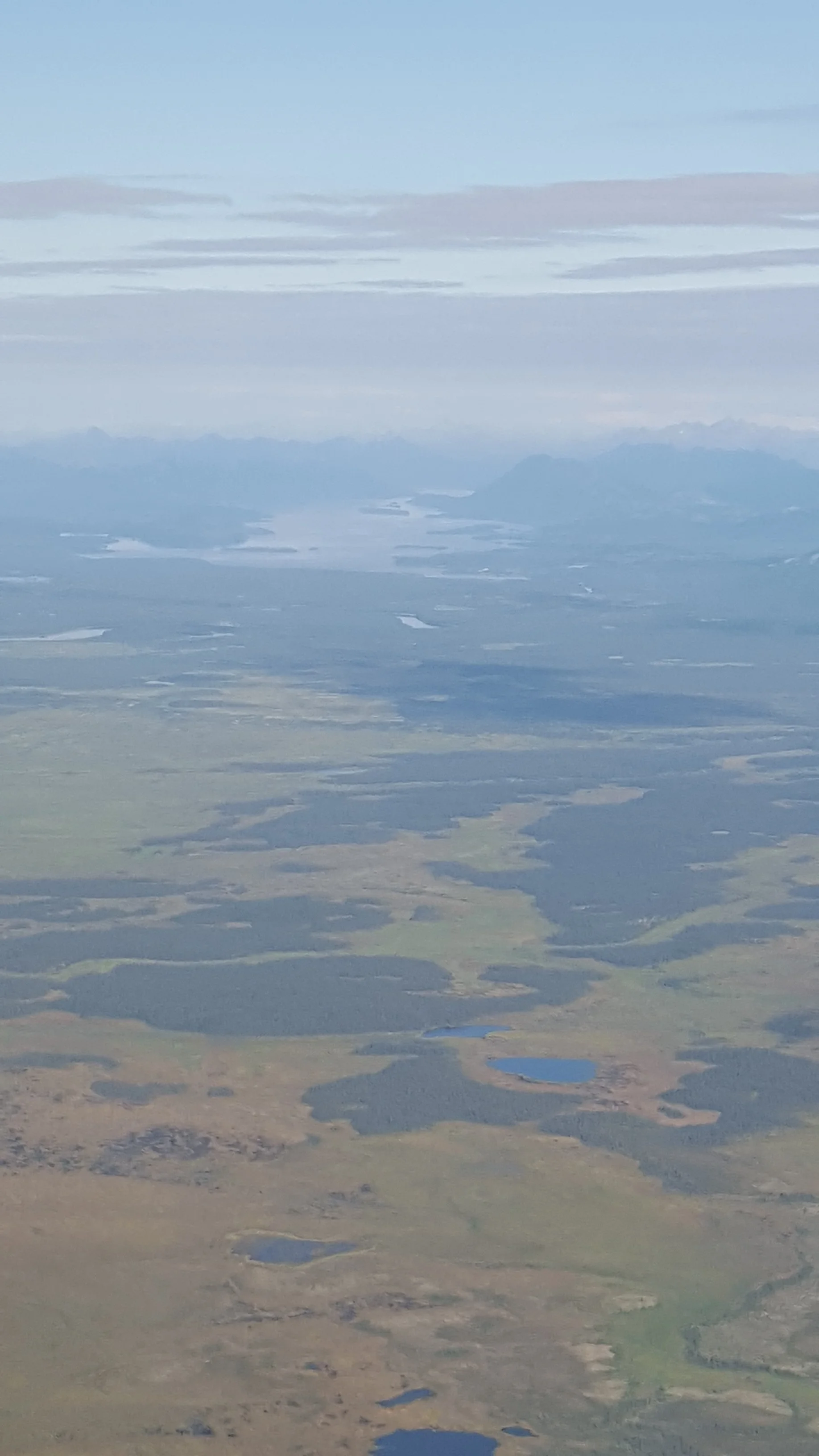 Diligence and Scripture