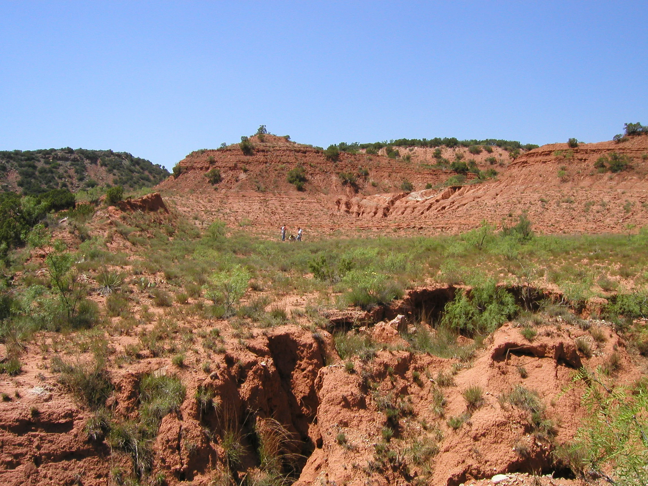 Multiplication in the Desert