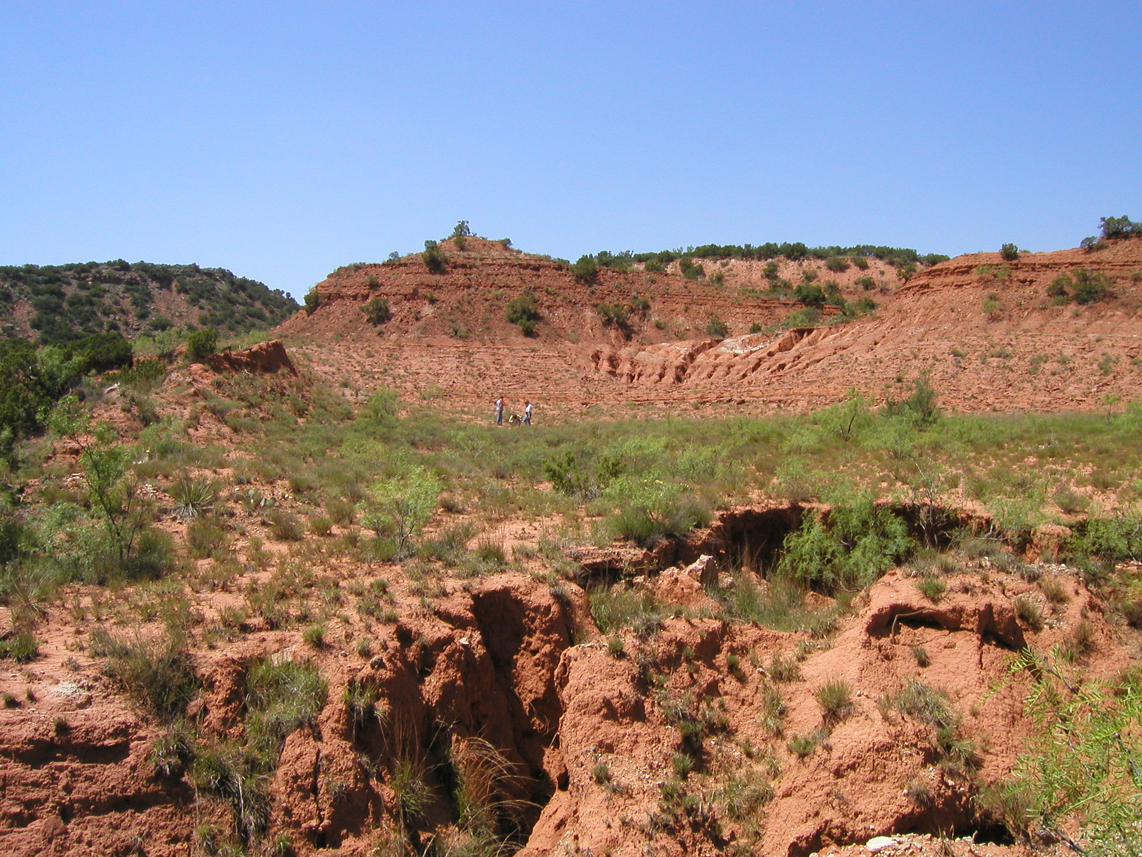 Multiplications Guarantor