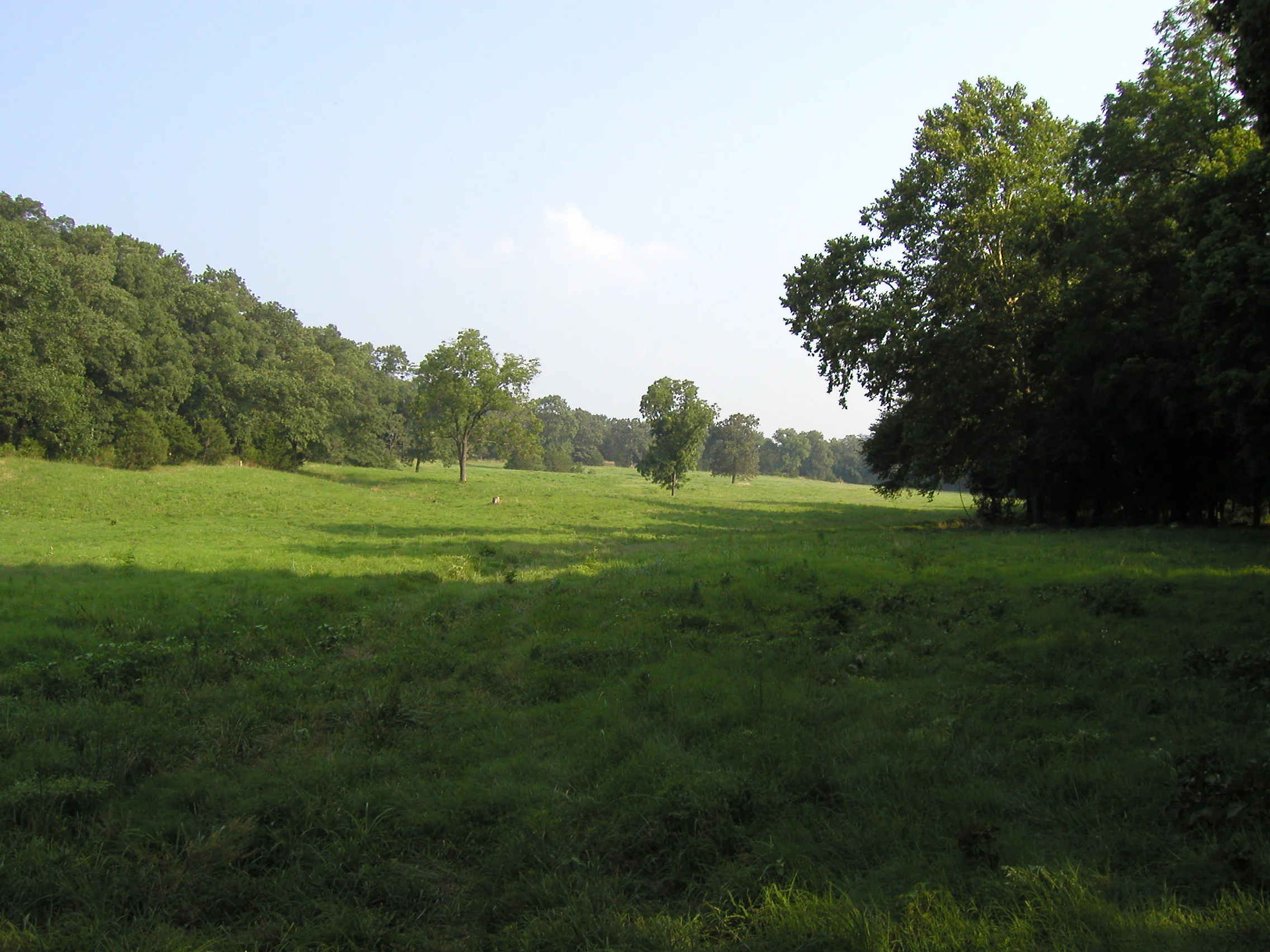 On the way to my fishing spot