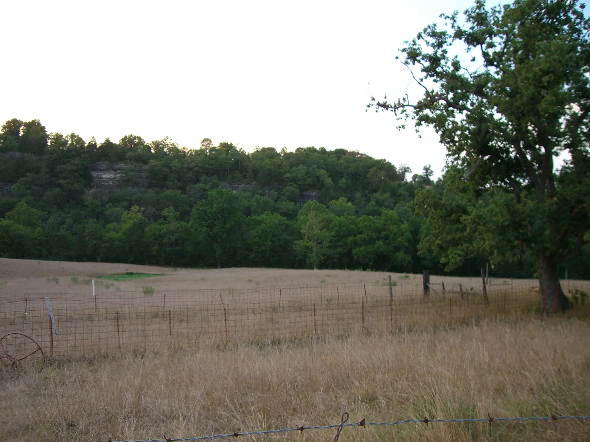 Looking toward the bear's den