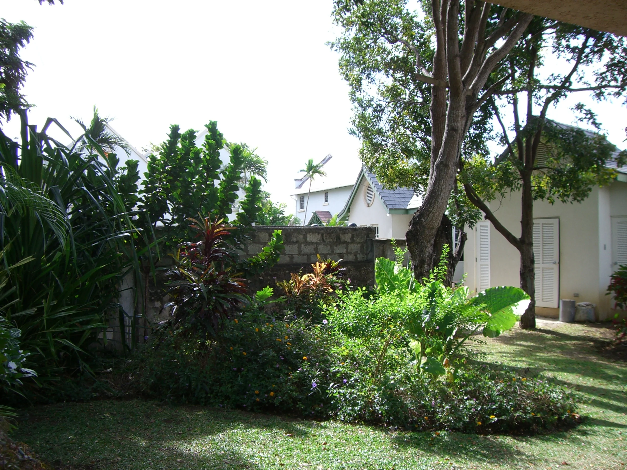 War of the Periwinkles