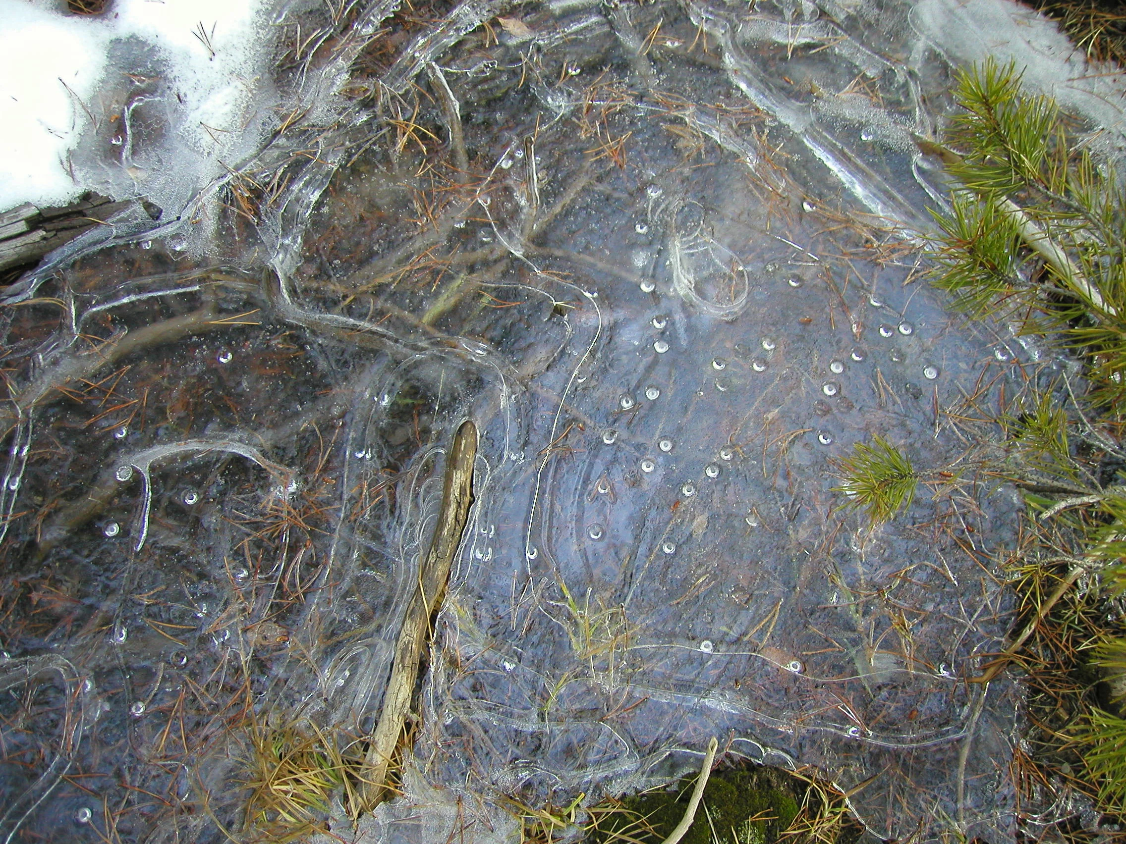 Ice in Montana