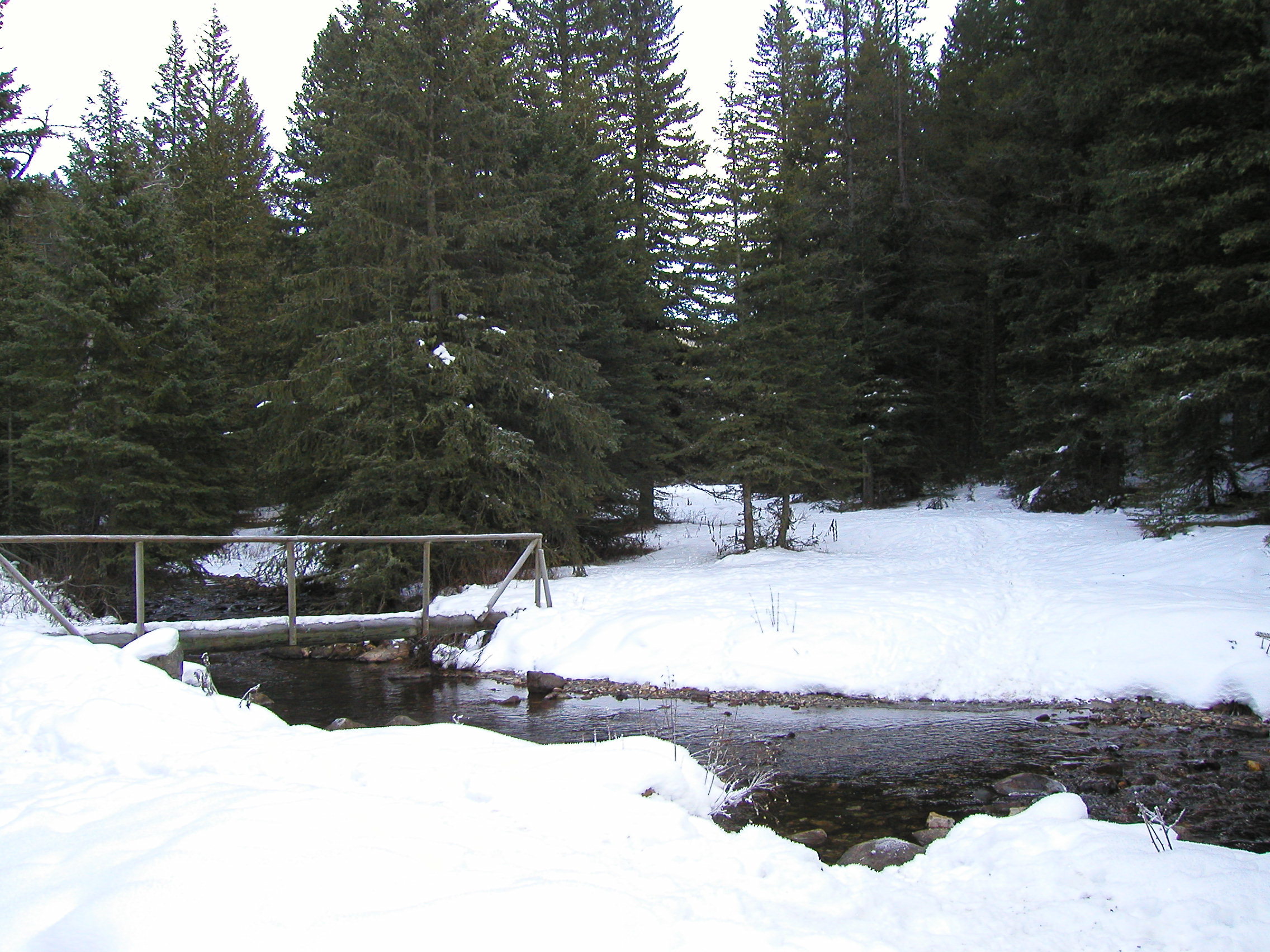 Back country bridge, but at least there was a bridge