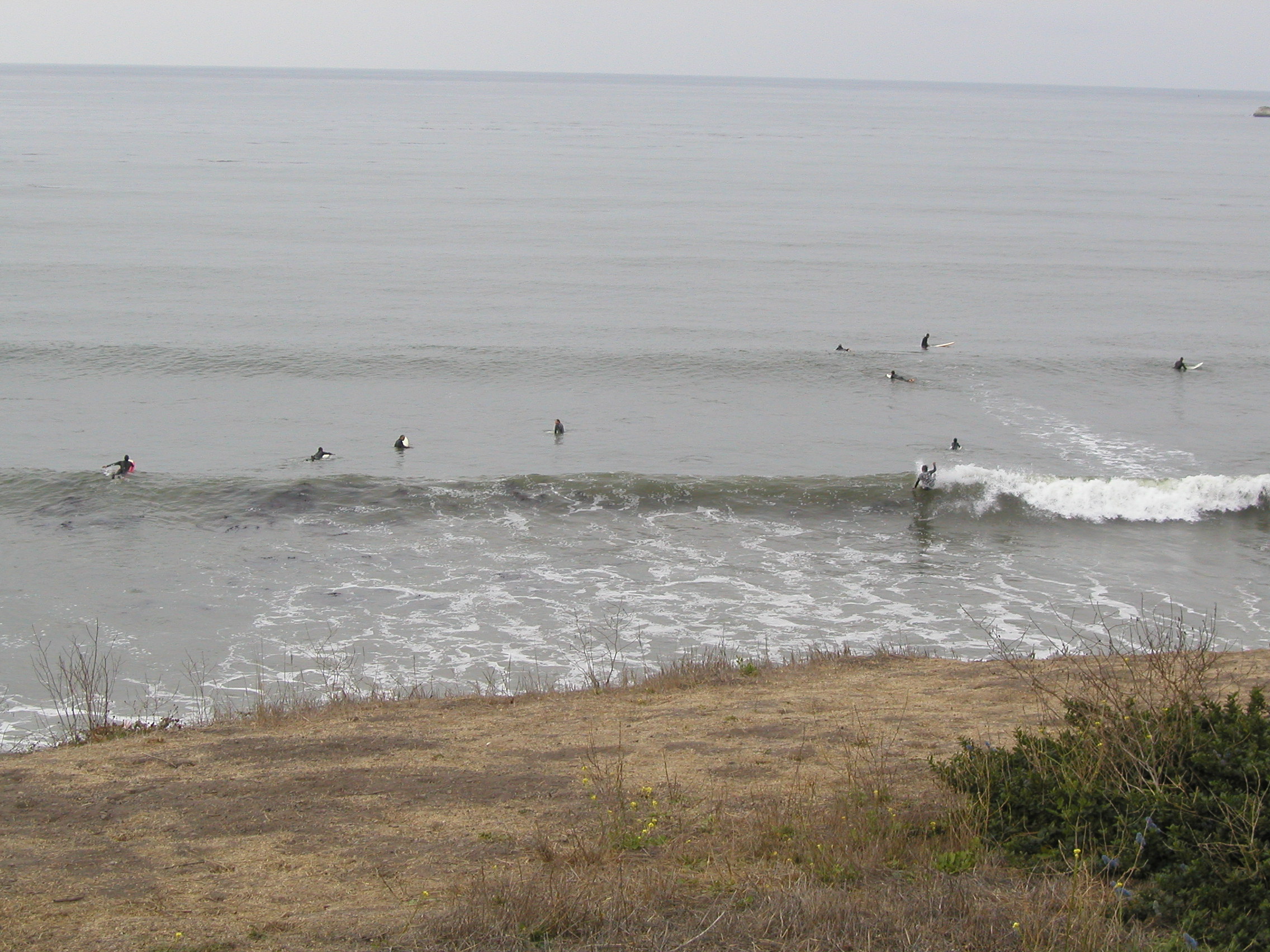 Pacific surfers
