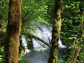 The Discontent of Grace