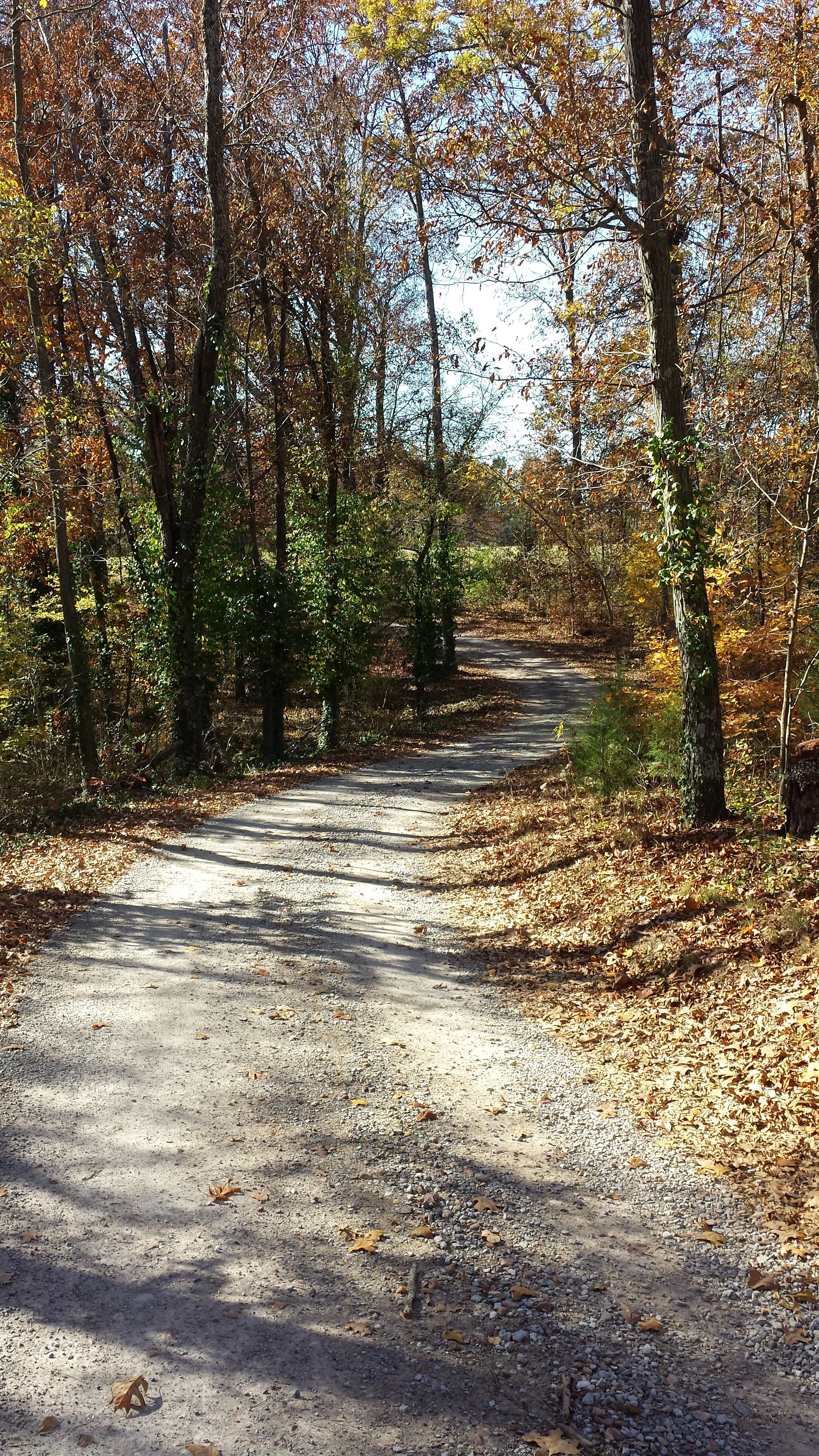 Thankful: Reprise