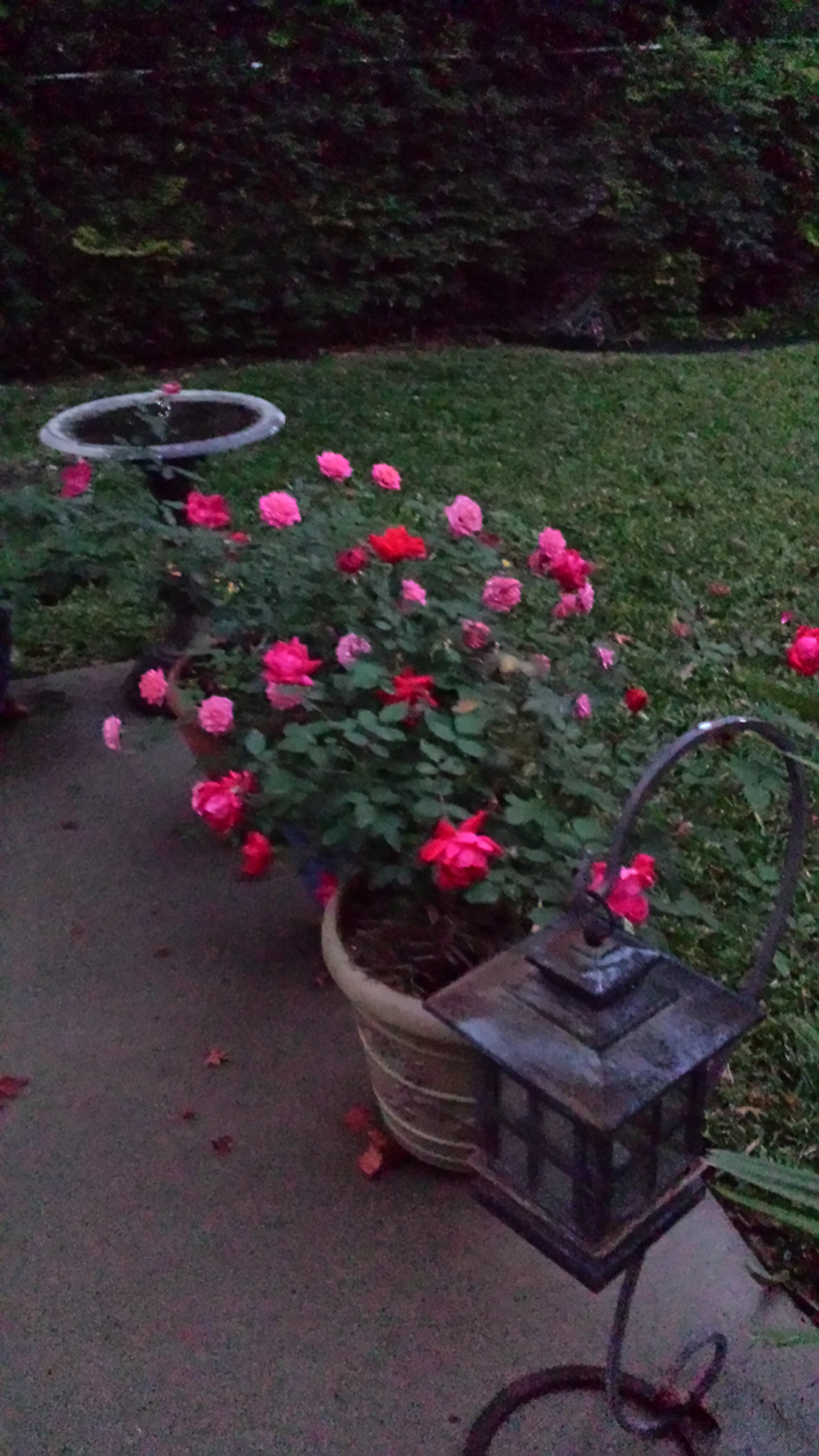 Science and Faith and Logic