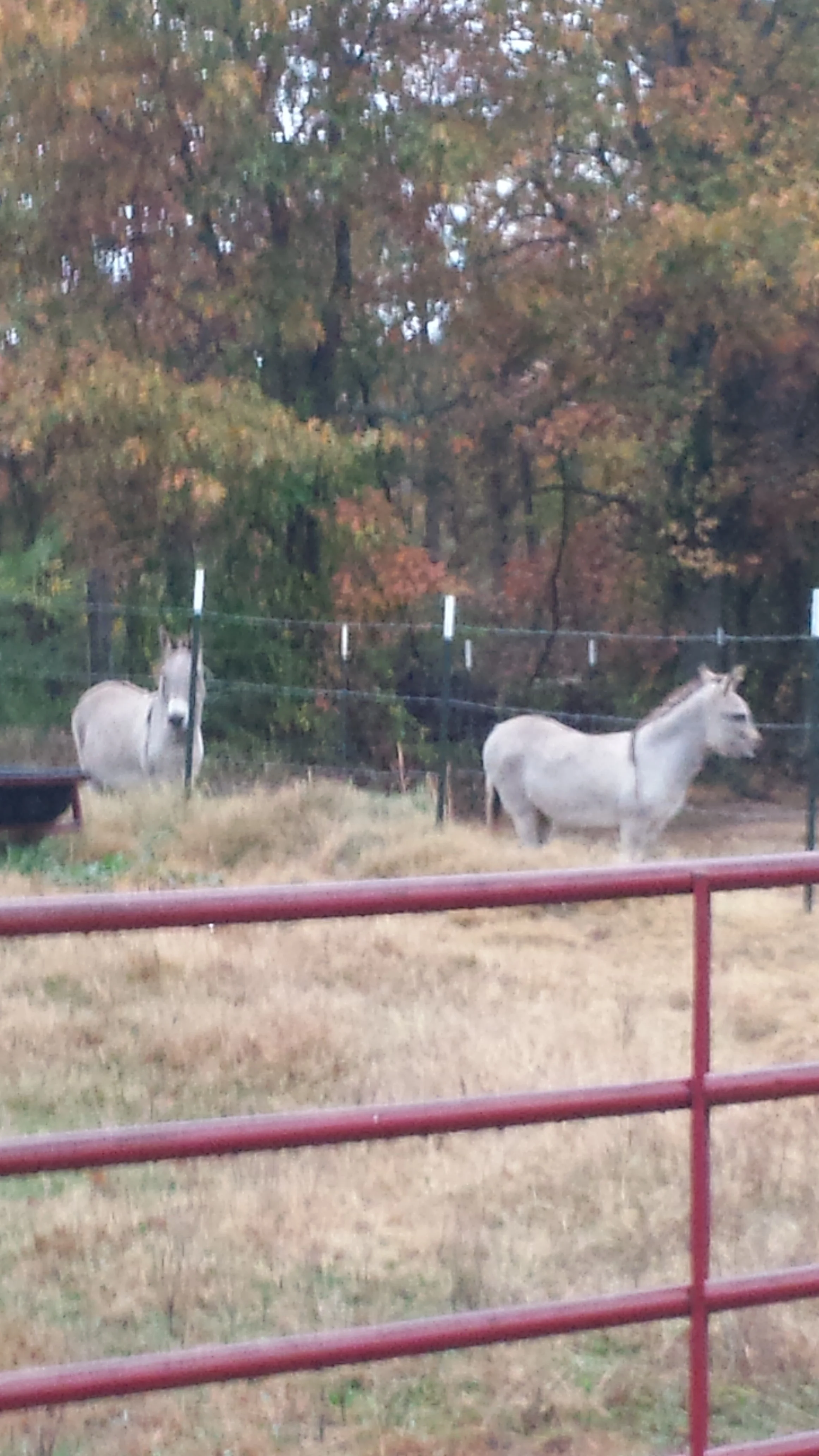 20131106_155911.jpg