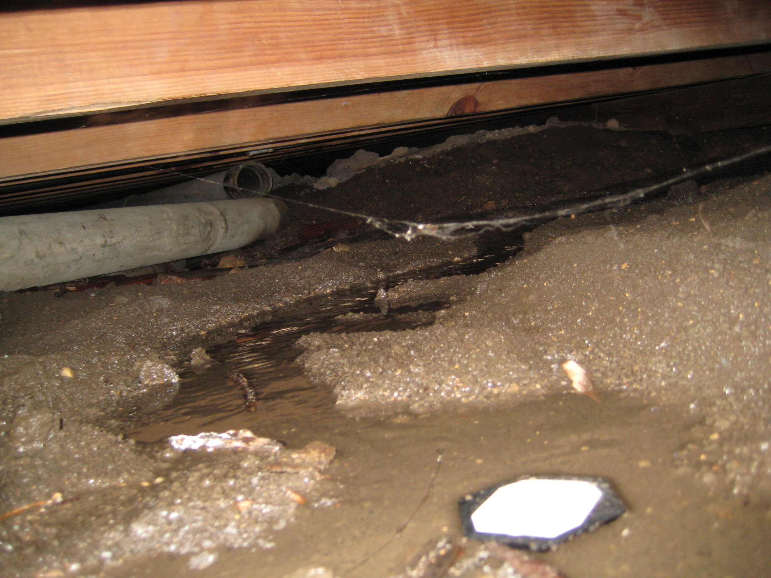 Light from Under the House: Soul Food