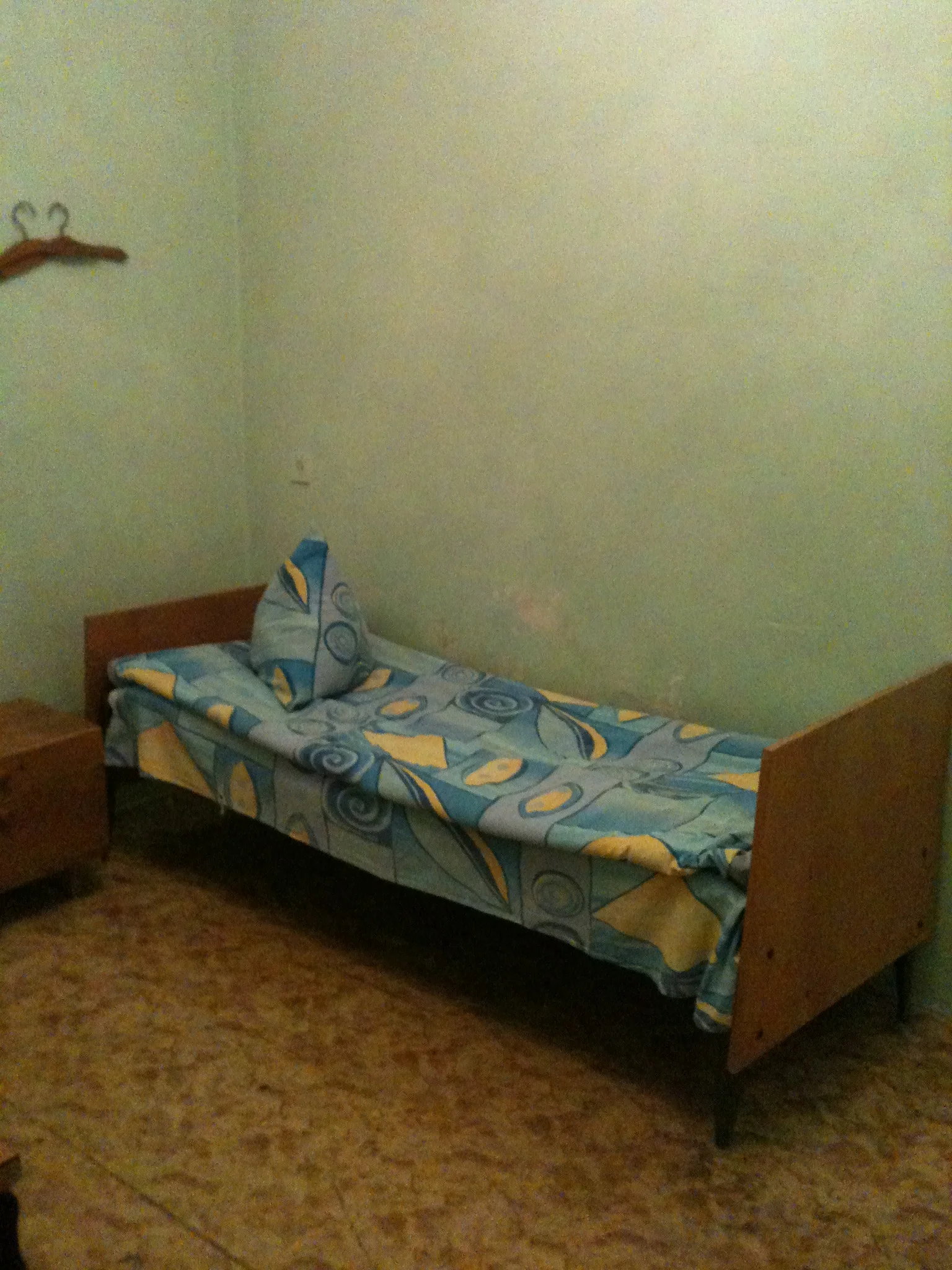 Is Socialism a Good Idea?