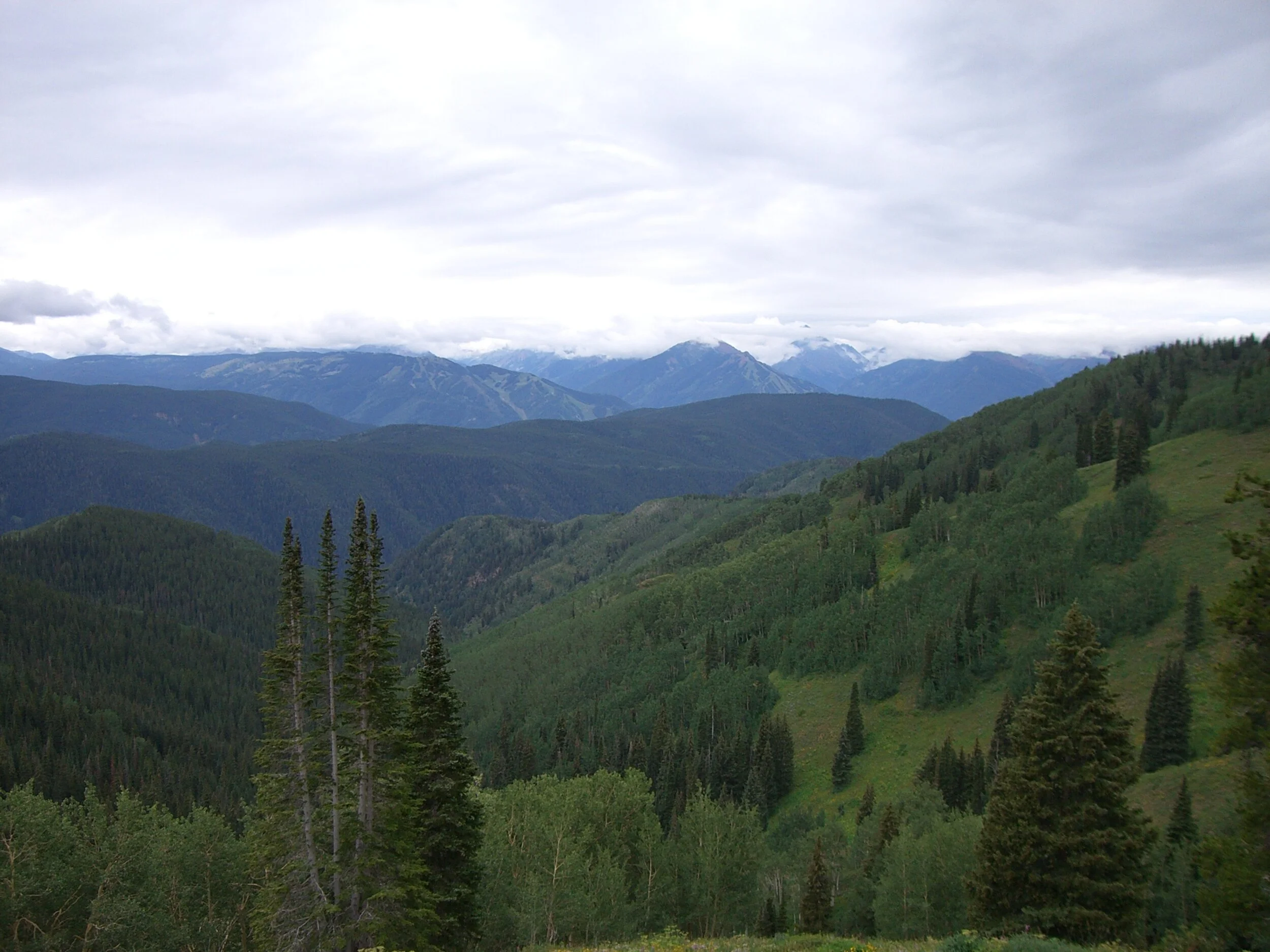 We Can't Reason Our Way Out of This