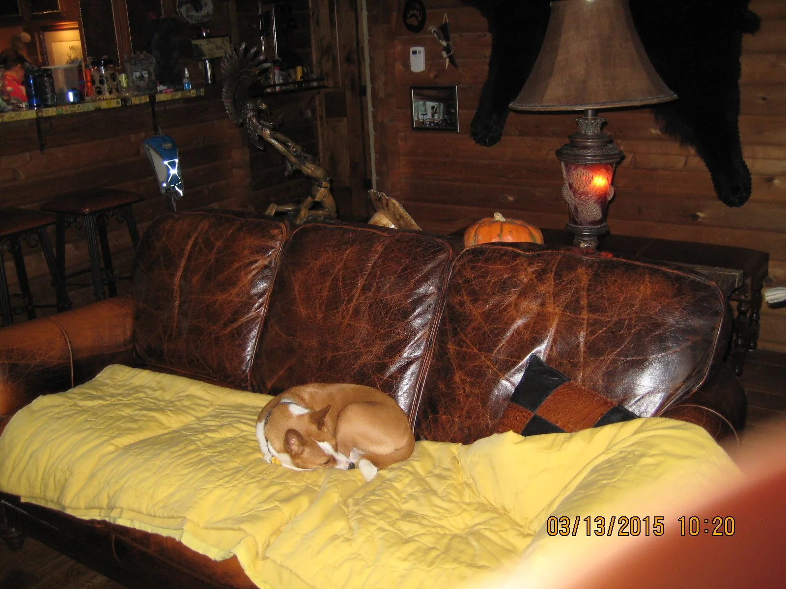 Details and Updates and Shadow Banning