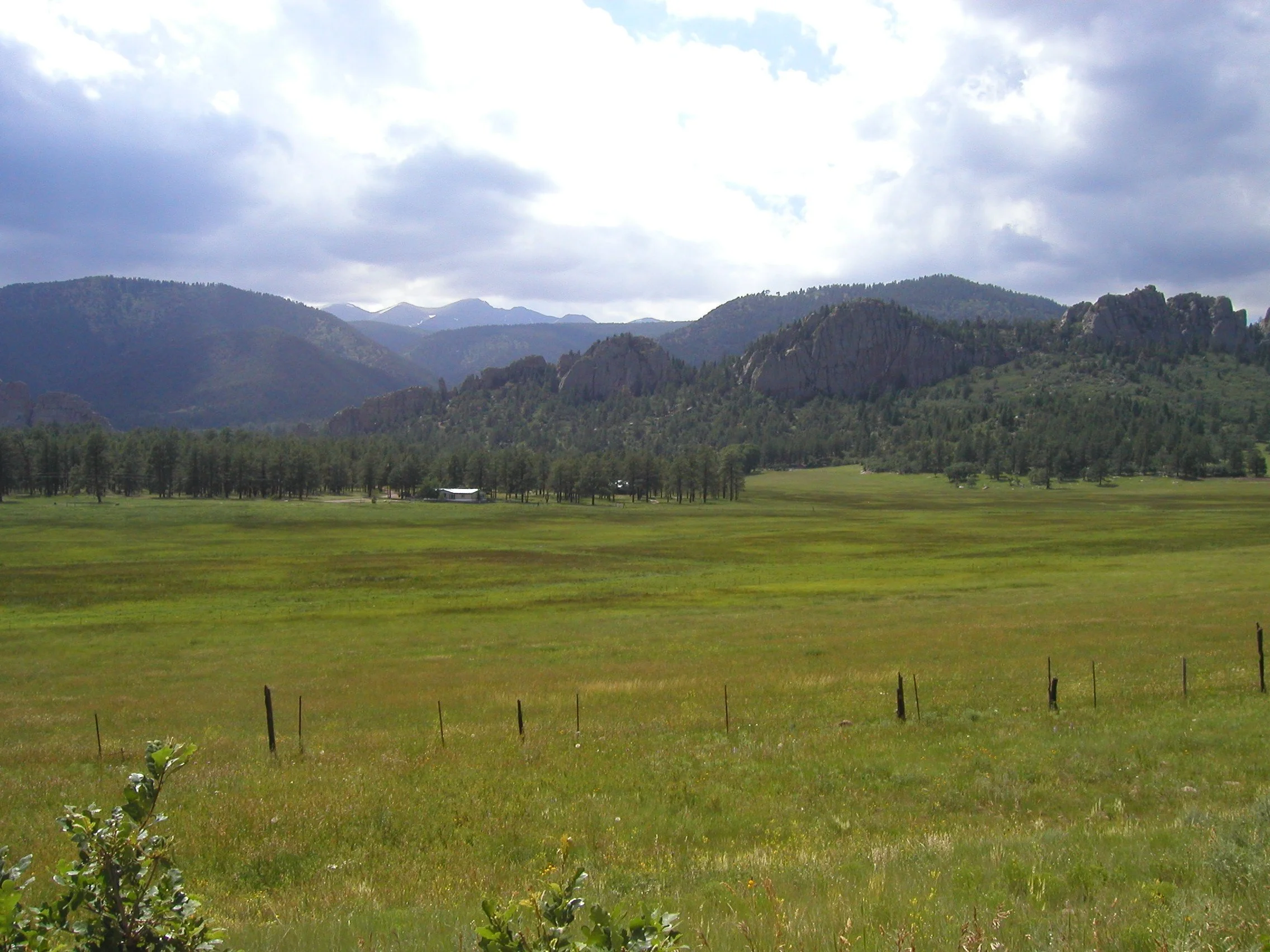 Trust Him and He Will