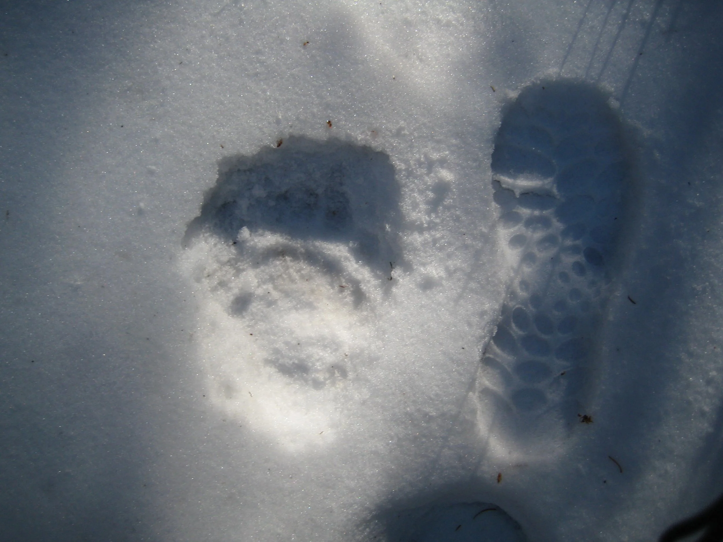 The Attitude of Imputed Righteousness