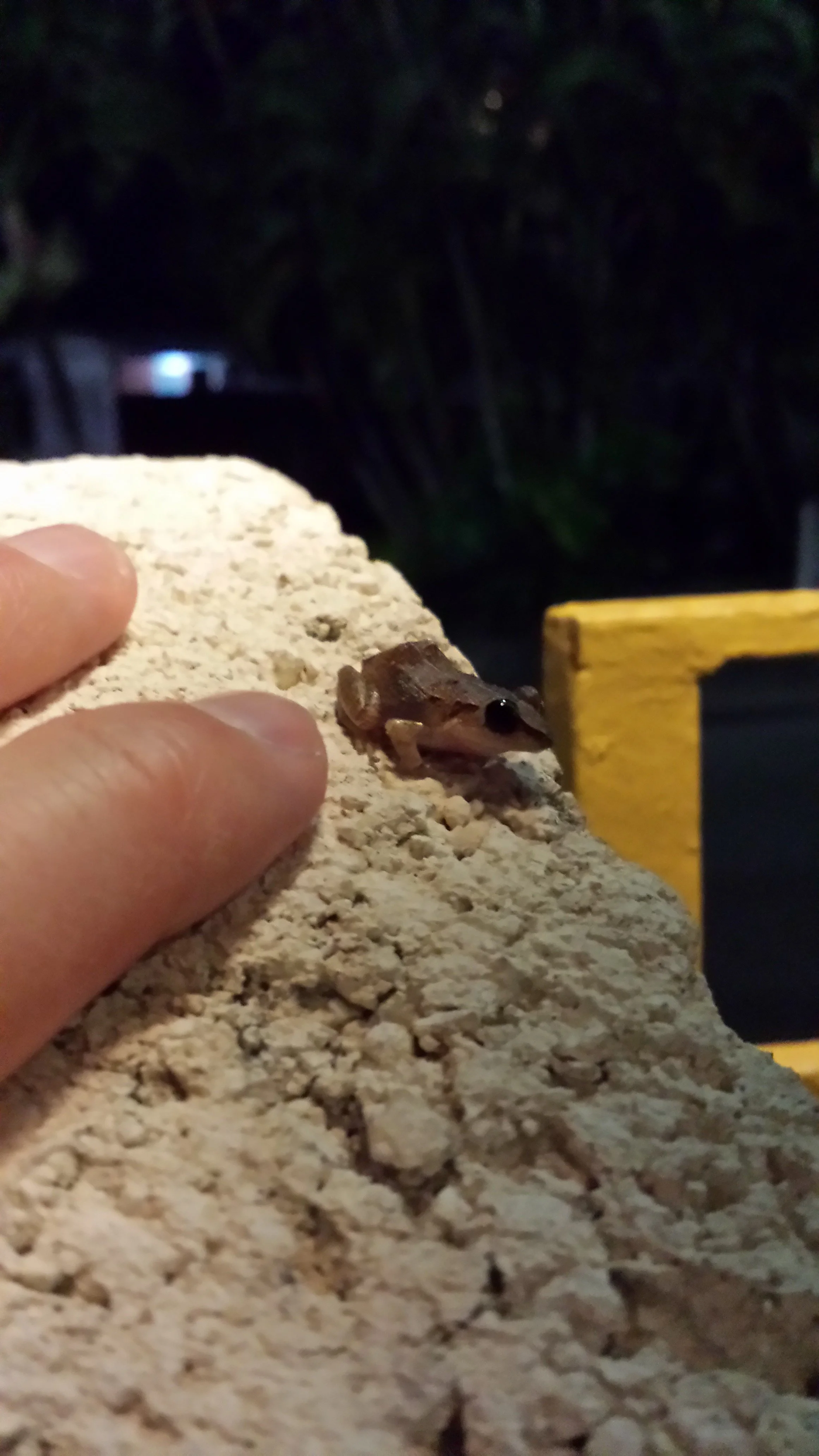 Already. Not Yet. Right Now.