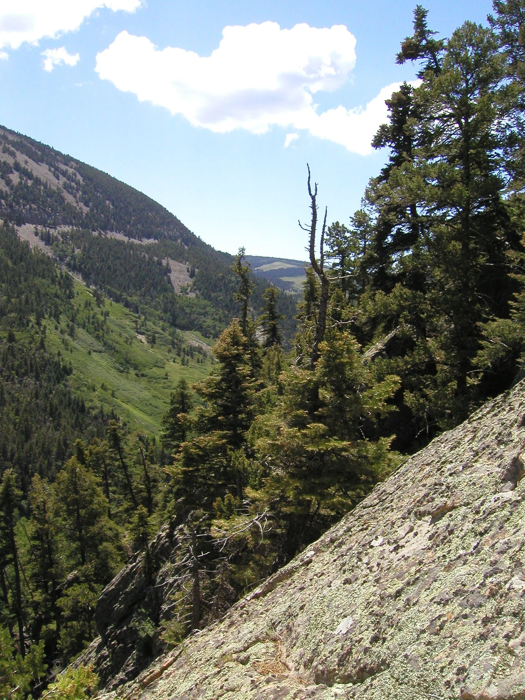 A Whirlwind Encounter