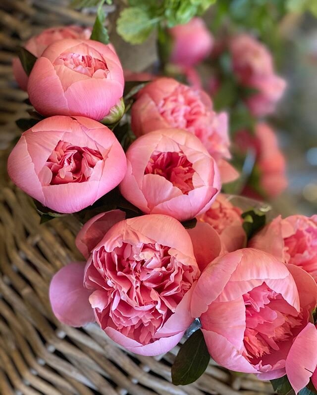 Bundles of &ldquo;Etched Salmon&rdquo; peonies, the most gorgeous fresh lavender and lilies of the valley are waiting up front. Warning...while they last! #gardendistrictmemphis #memphisflorist #floralpopupshop #besafe #benice