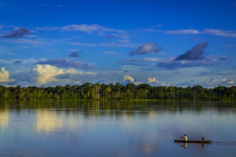 amazon river scenery
