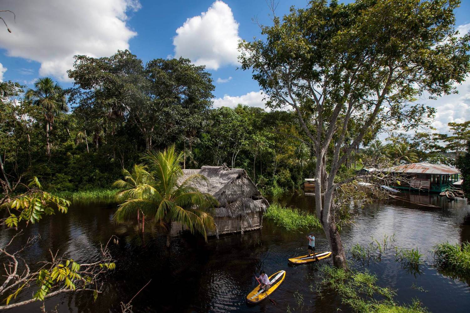 amazon rainforest tourism activities