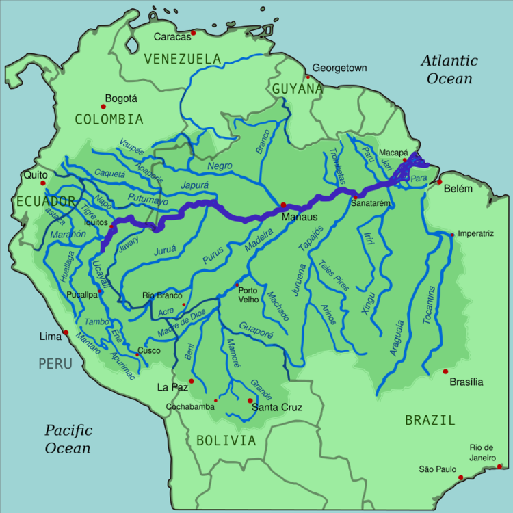 Does The Amazon River Run Through Brazil Rainforest Cruises
