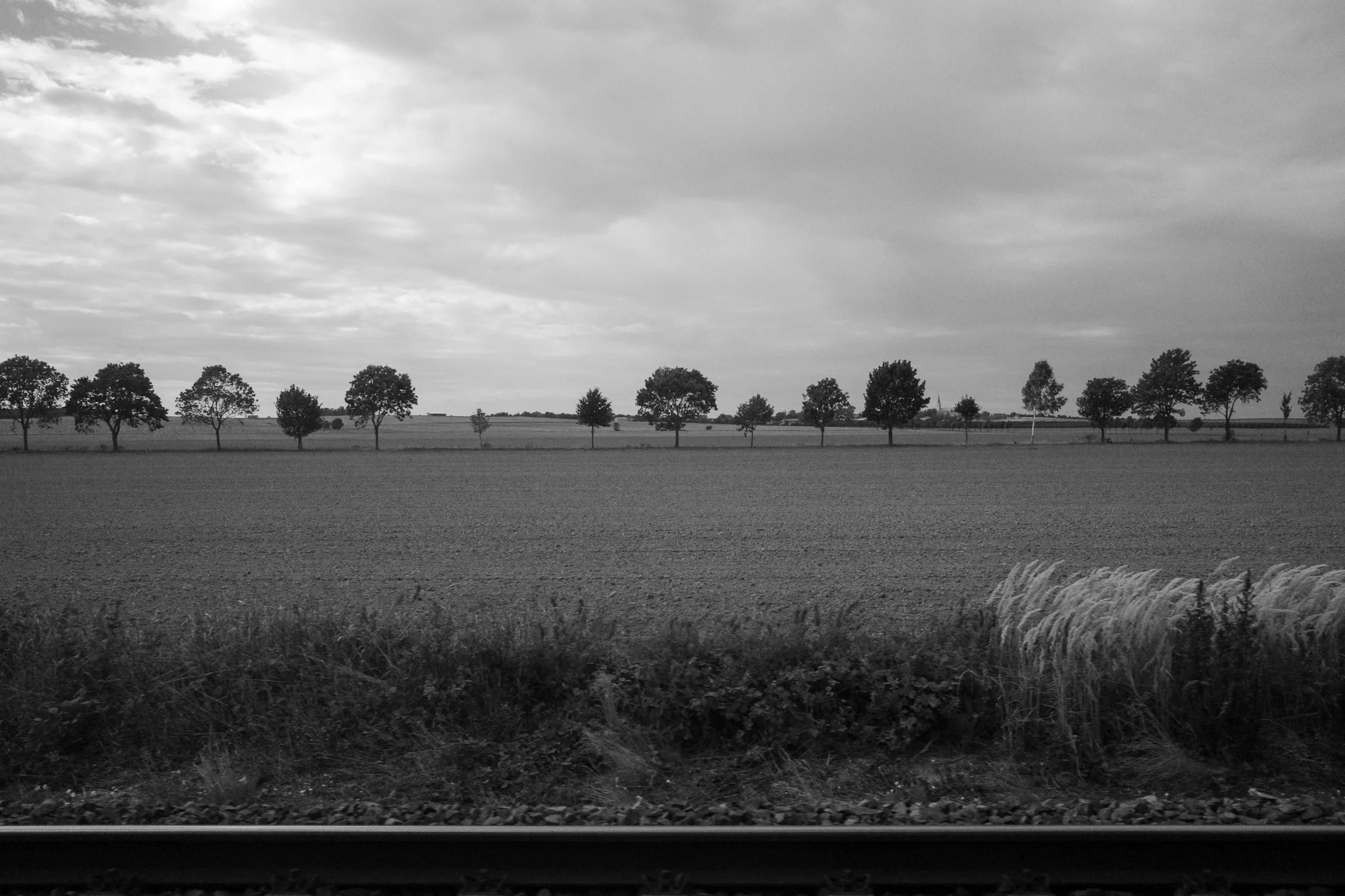 On the train from Dresden