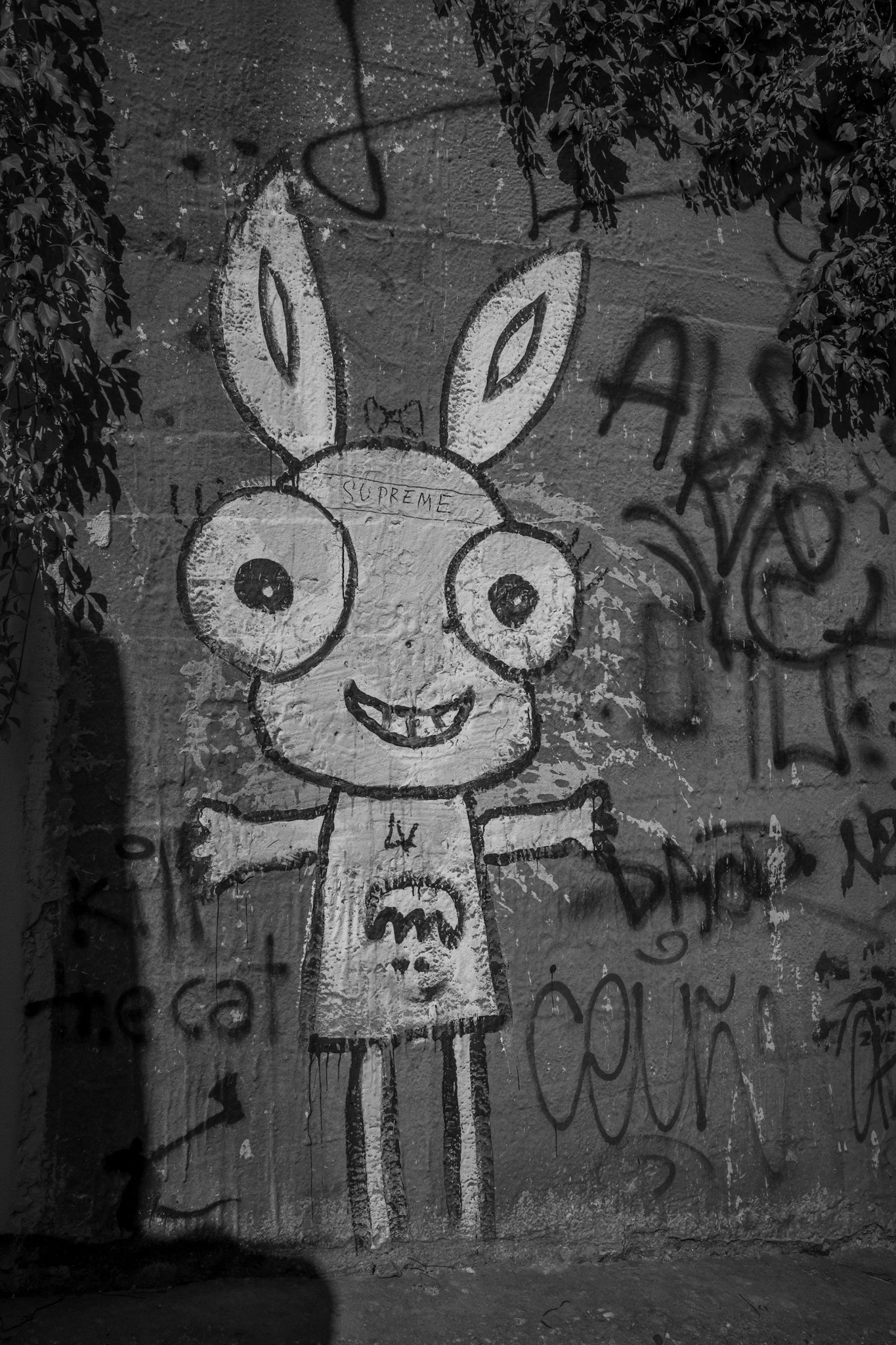 R0001302.jpeg