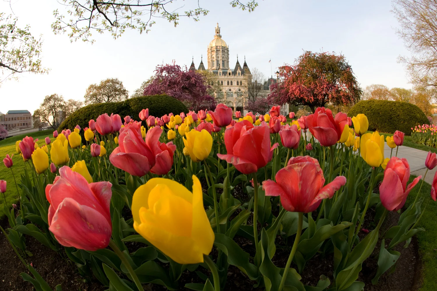 Capitol CT State 009.JPG