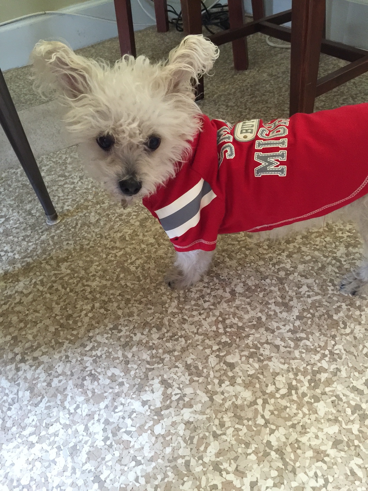 Miss Dollie is ready for a tailgate party! 