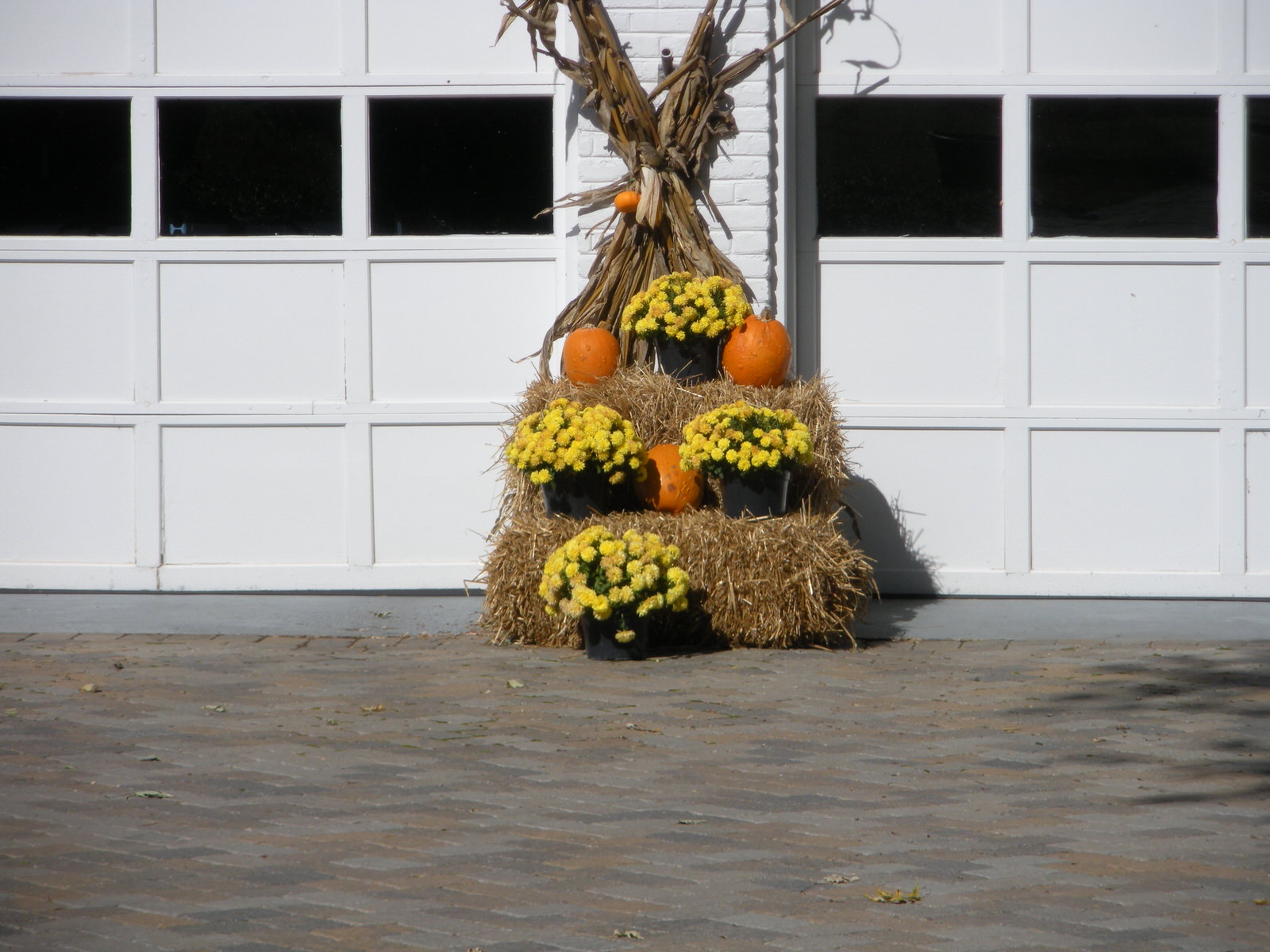 Justin Stelter Landscape Gardening - Seasonal Decorations - 12465433975_1e9bed96aa_o.jpg