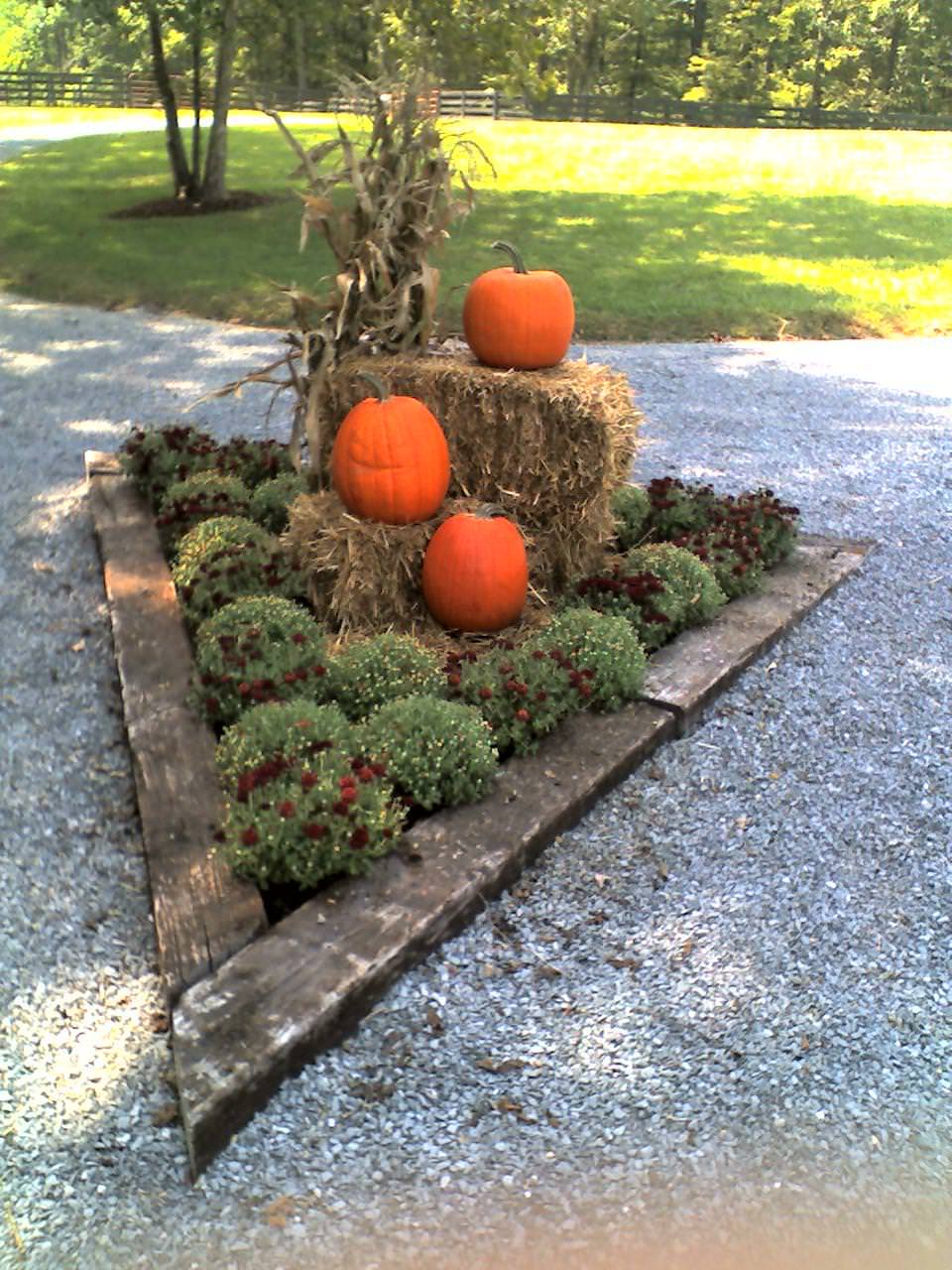 Justin Stelter Landscape Gardening - Seasonal Decorations - 12465574083_b5a932aeba_o.jpg