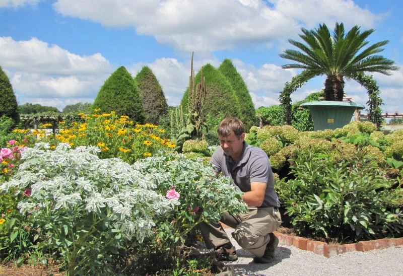 Carnton garden revitalized, boasting true beauty