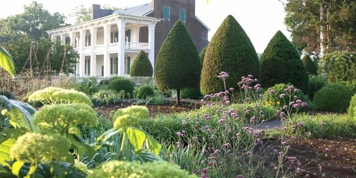 700_IntheGarden_01.jpg