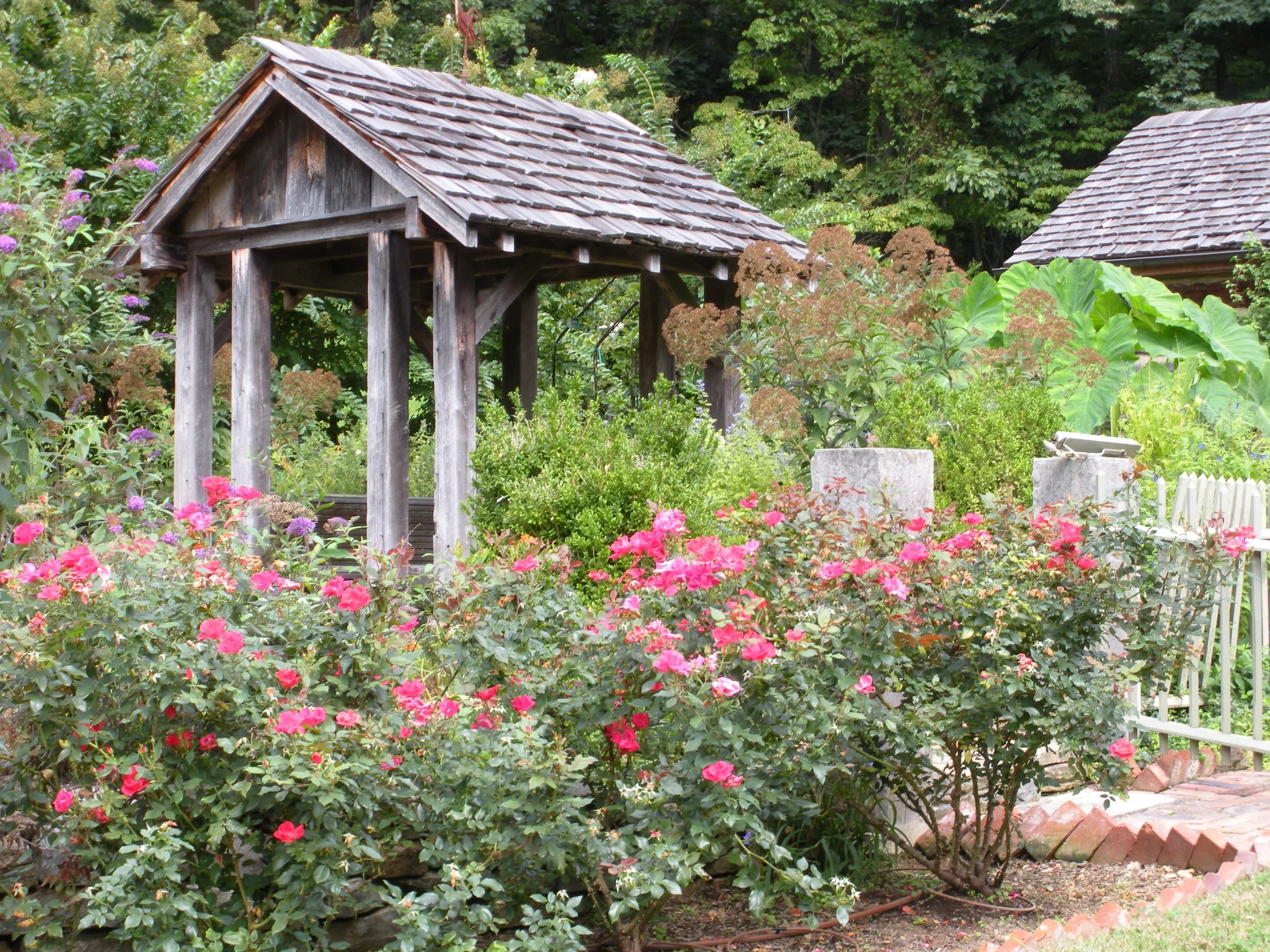 Fight Rose Rosette Disease Today