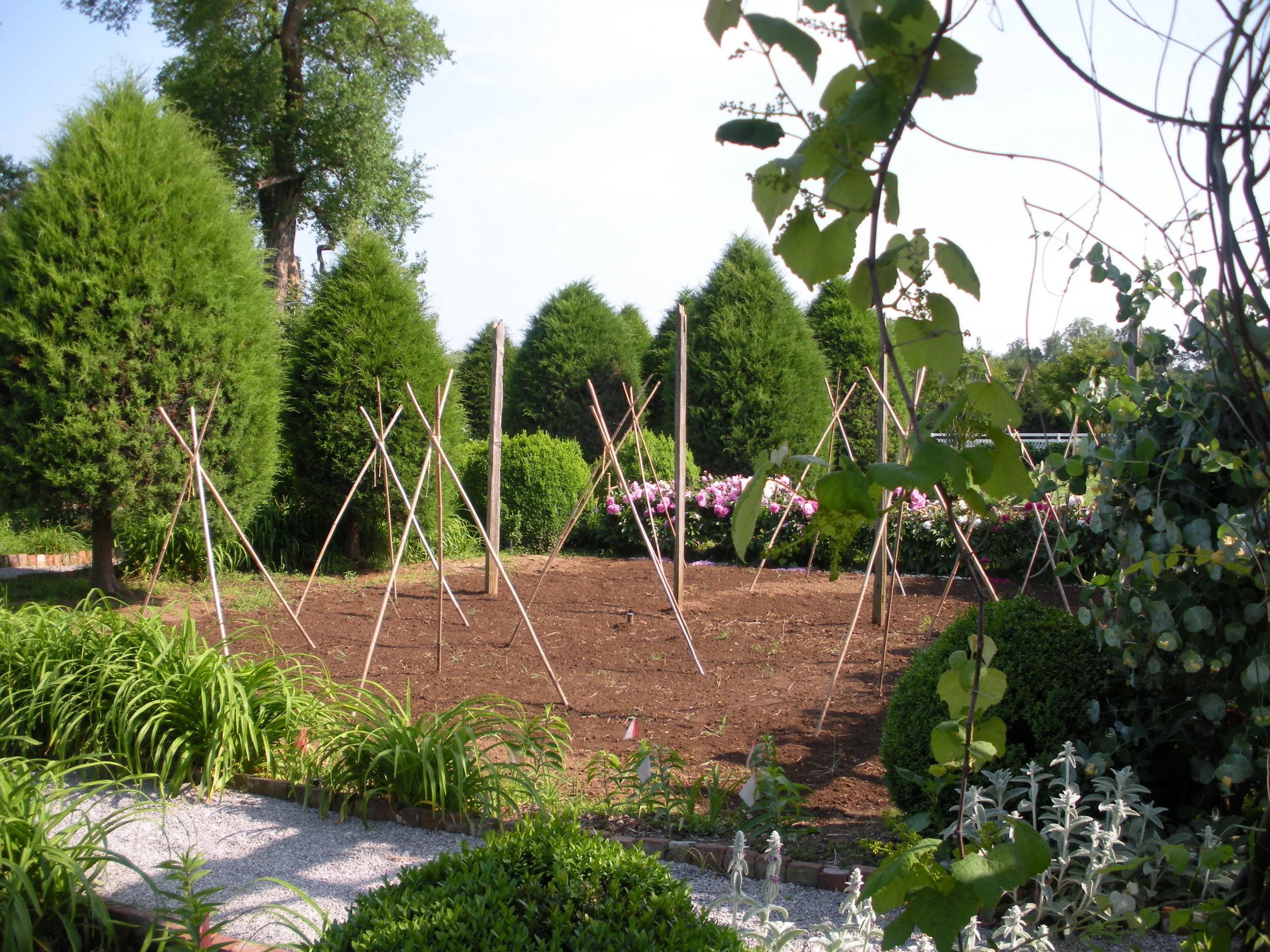 Carnton Garden 019.JPG
