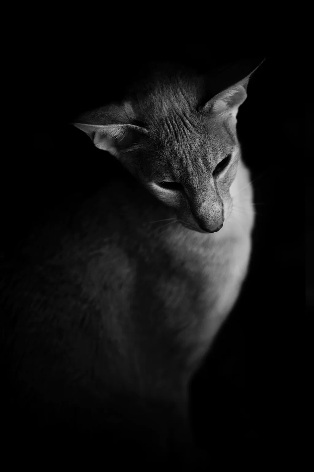 IMG_0539-02 (1).jpg