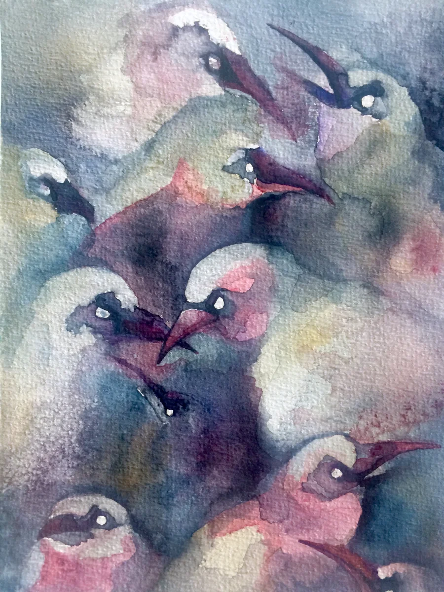 Angry Birds