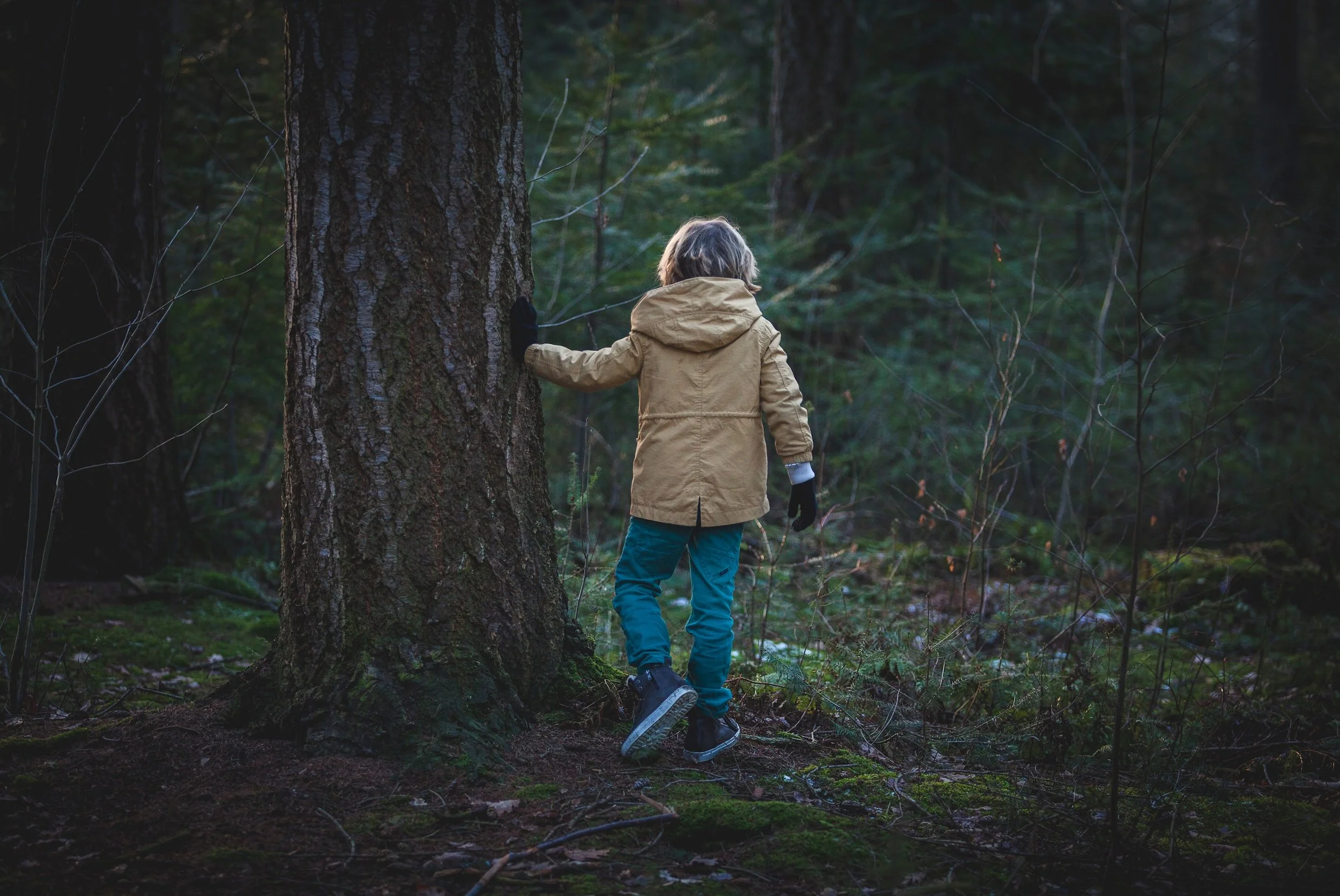 Where-the-wild-things-are-photography-myra-wippler-005.jpg