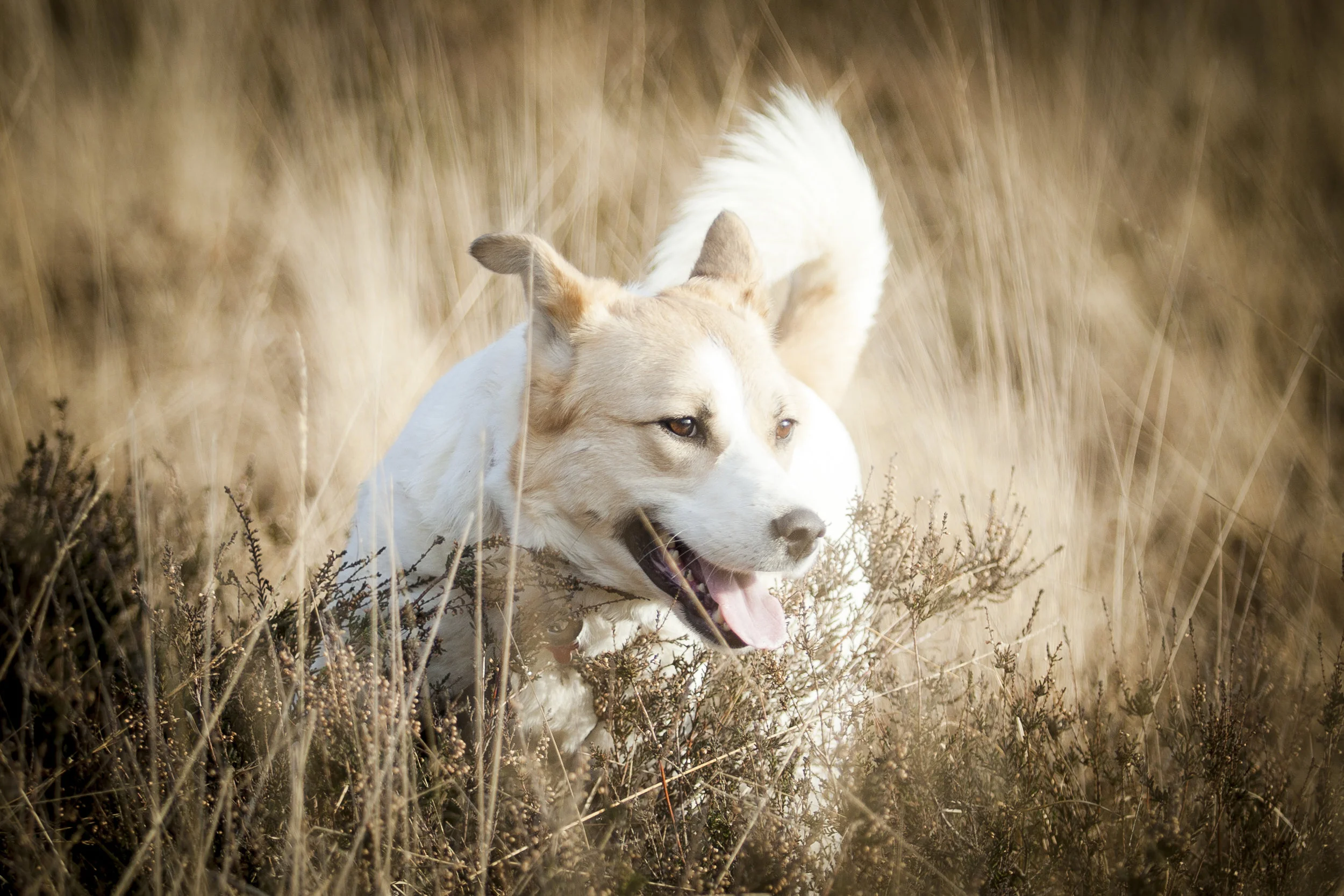 kevin-heide-007.jpg