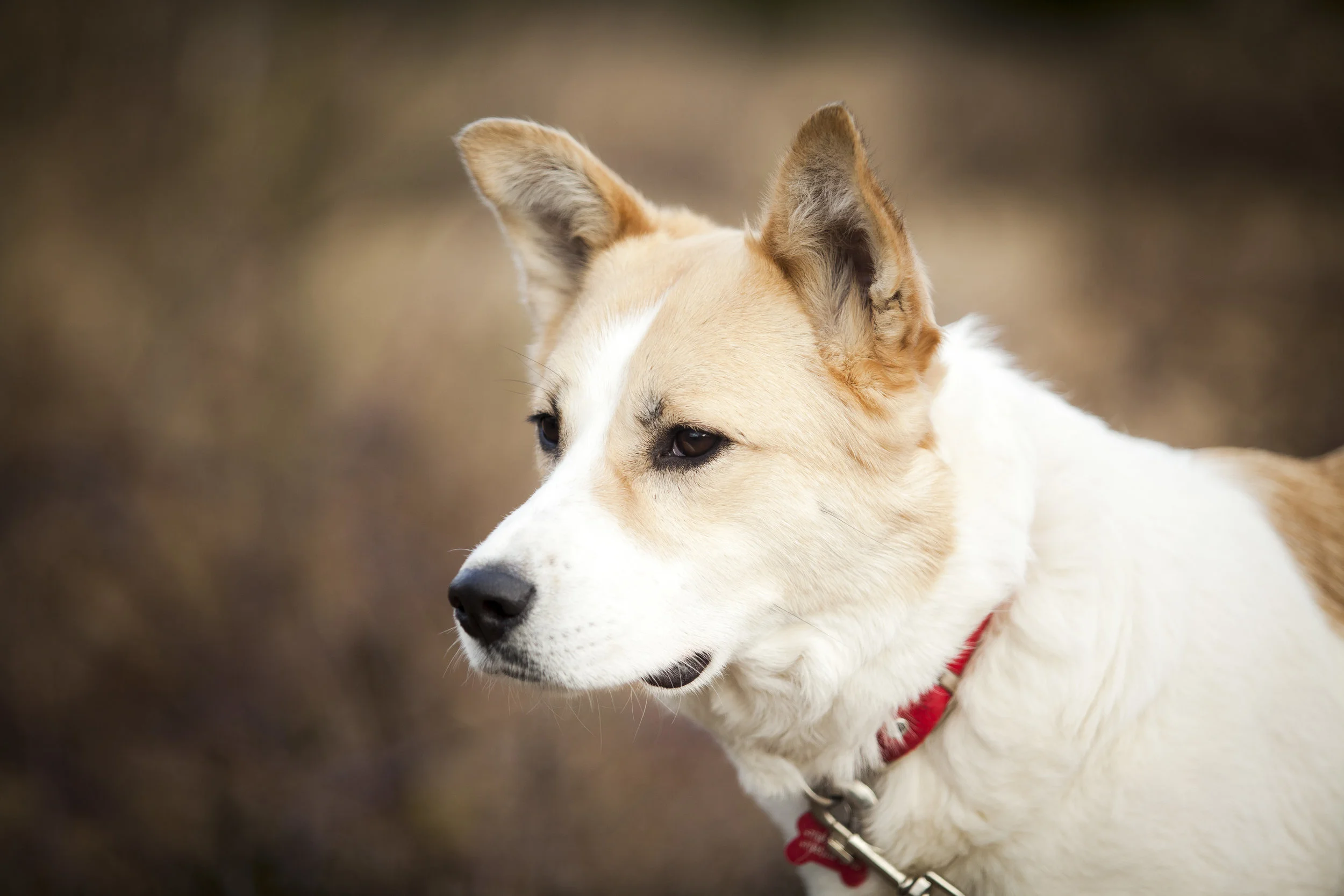 kevin-heide-014.jpg