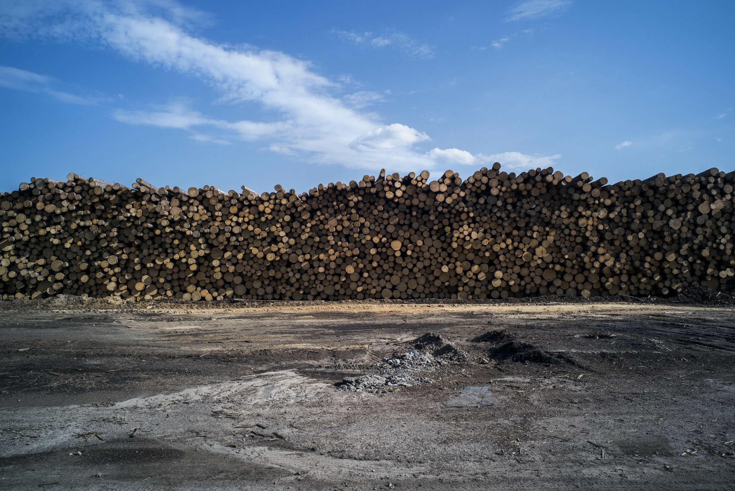Chopped trees are stacked along the outside of a wood factory in Russia. (© Alicia Afshar)