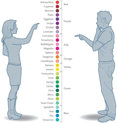 How men and women see color 