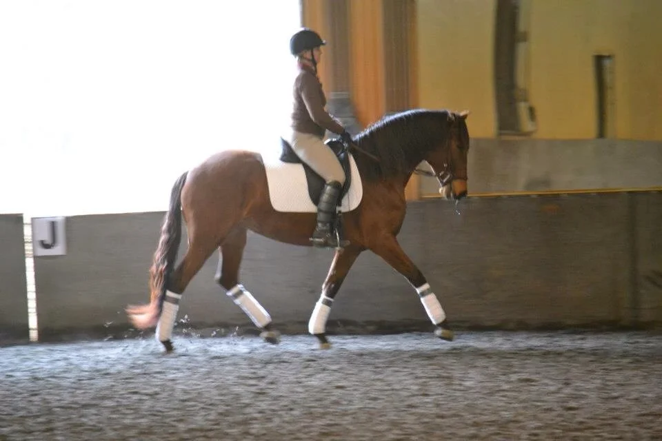 Me on Princessa at a clinic, one of the horses I started at Don E Mor