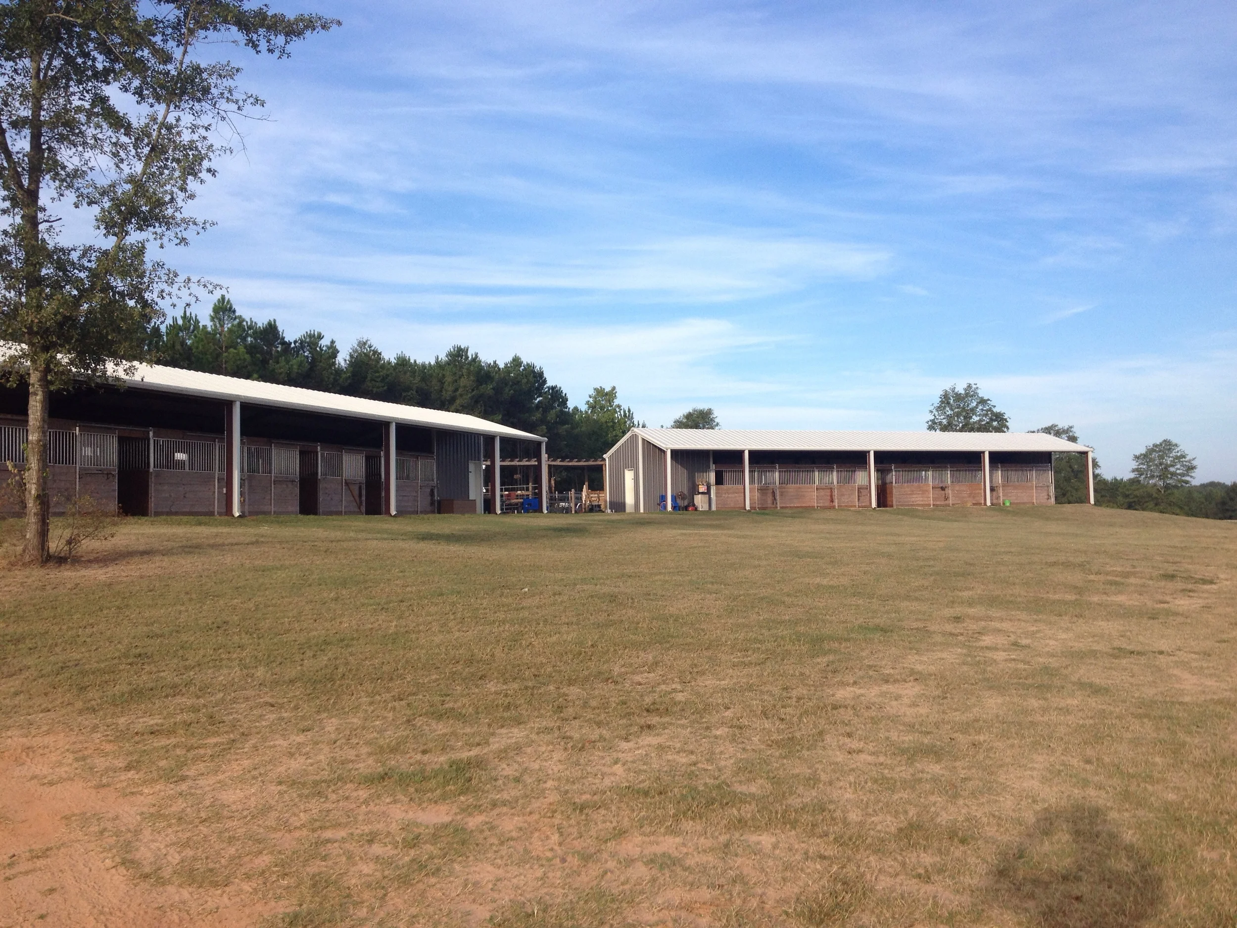 New chapter - training at Royal Palm Farm