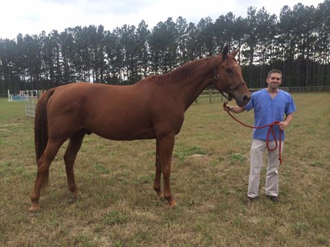 Tattle at home with his new owner!