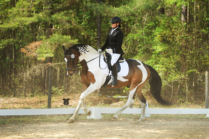 Tucci show canter.jpg