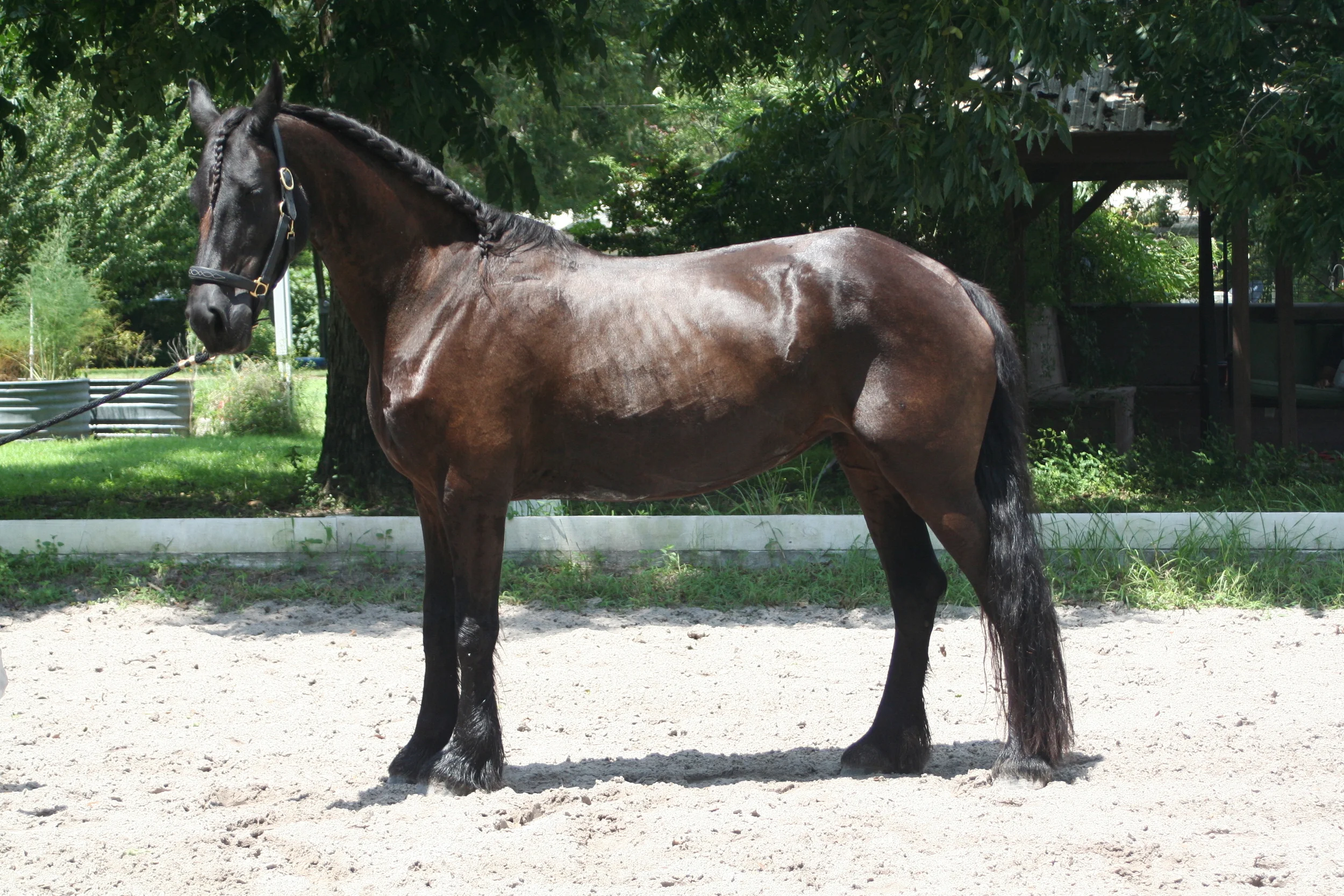 Polly is now in the mountains of NC where she is enjoying a break from the Florida heat. Congrats and best of luck!
