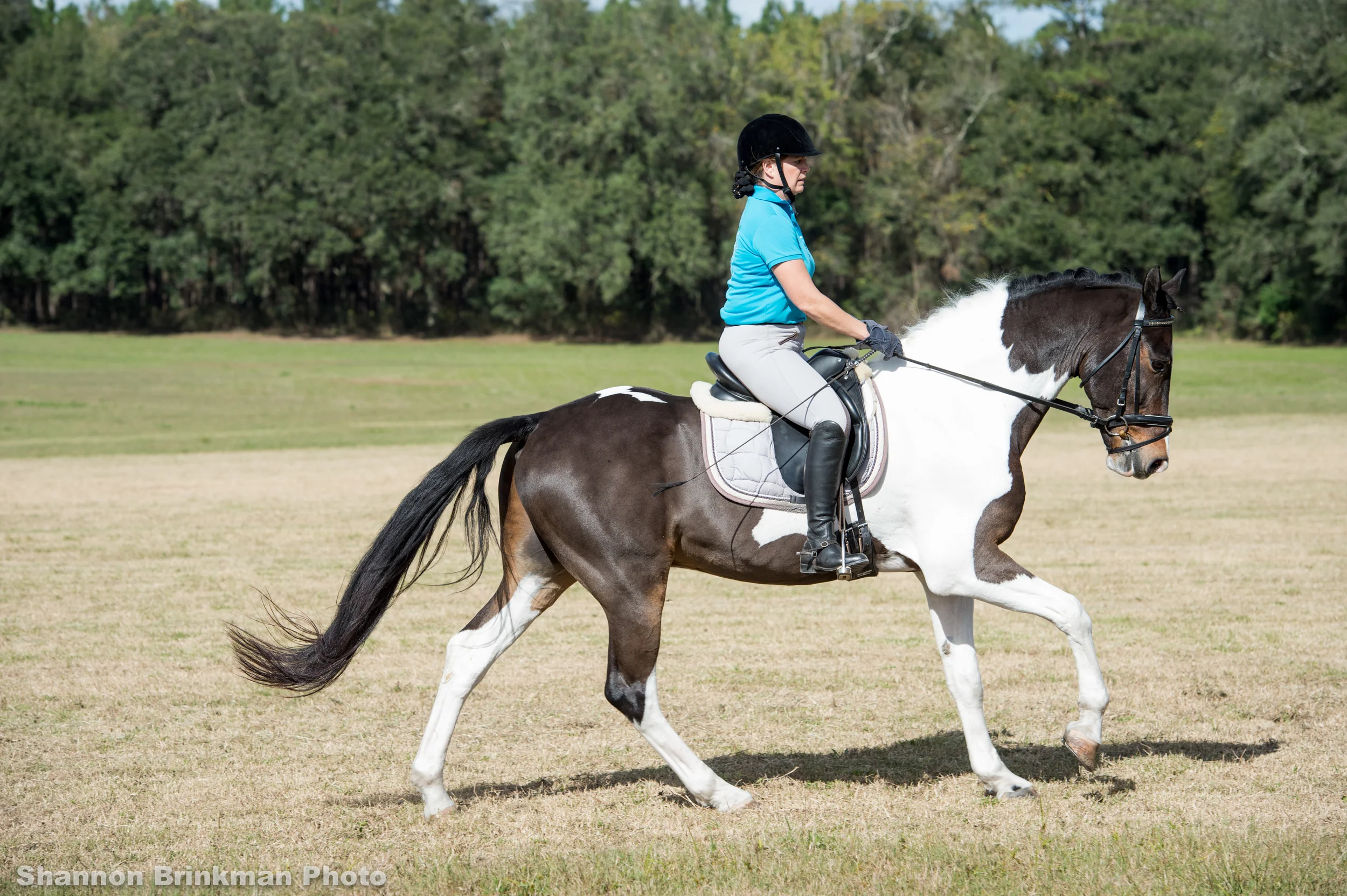 A year in the life with Prince Tucumcari