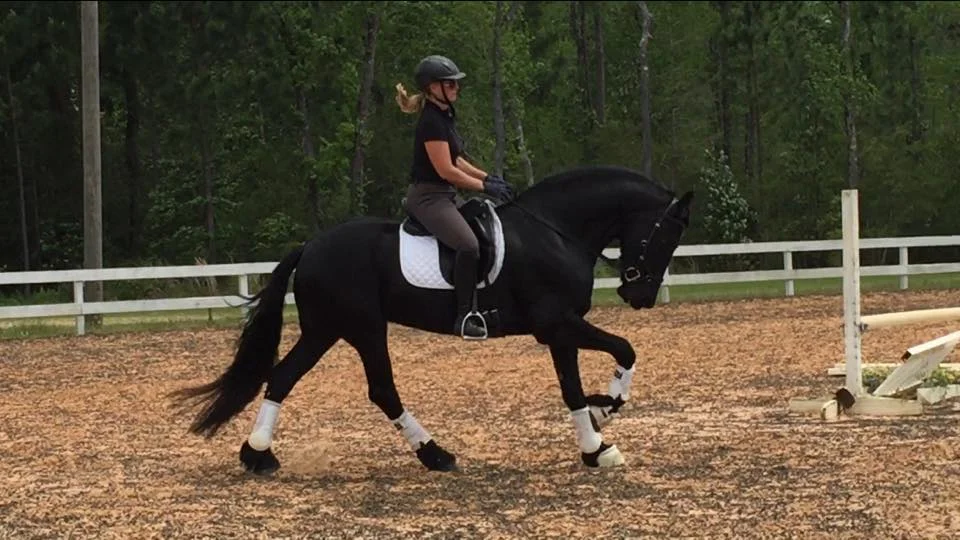 Congrats to Jannes’ new owner! He is an awesome horse!