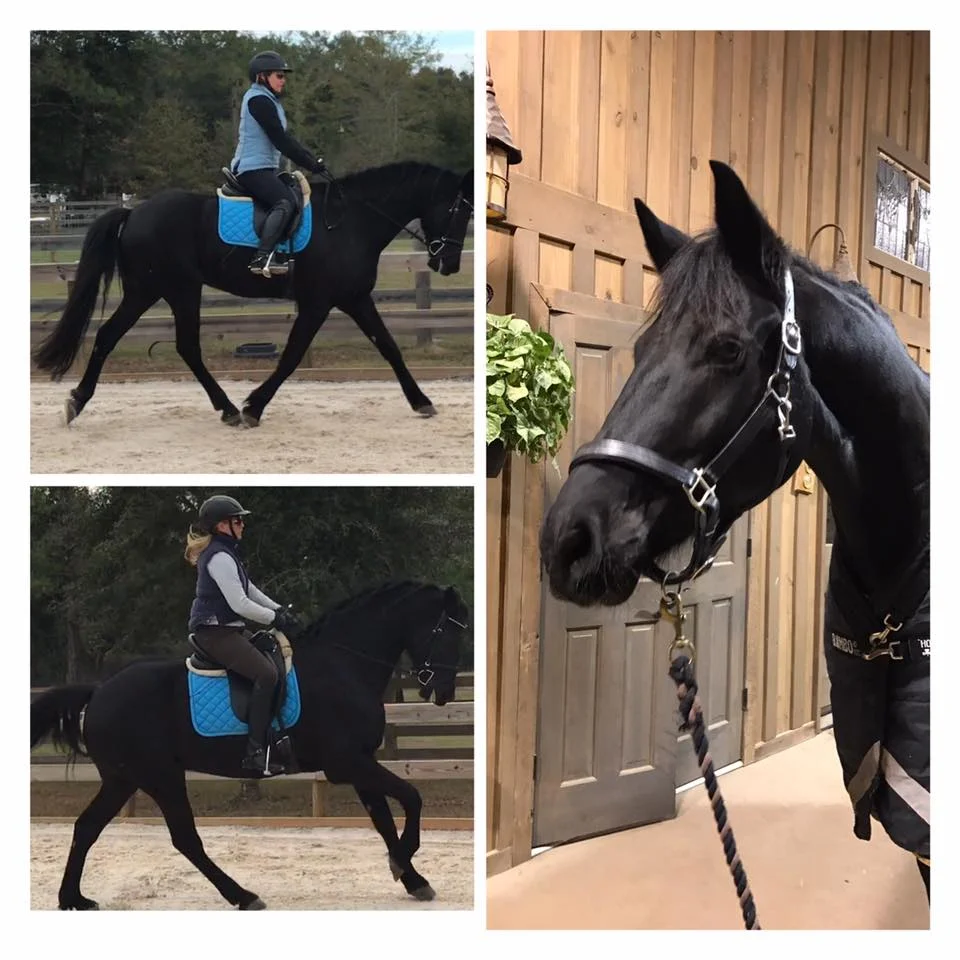 Can't believe Collette found my tall dark and handsome McDreamy ! Great match. His training has come a long way in a month ! Can't thank you enough for helping me accomplish my dreams. - Michelle